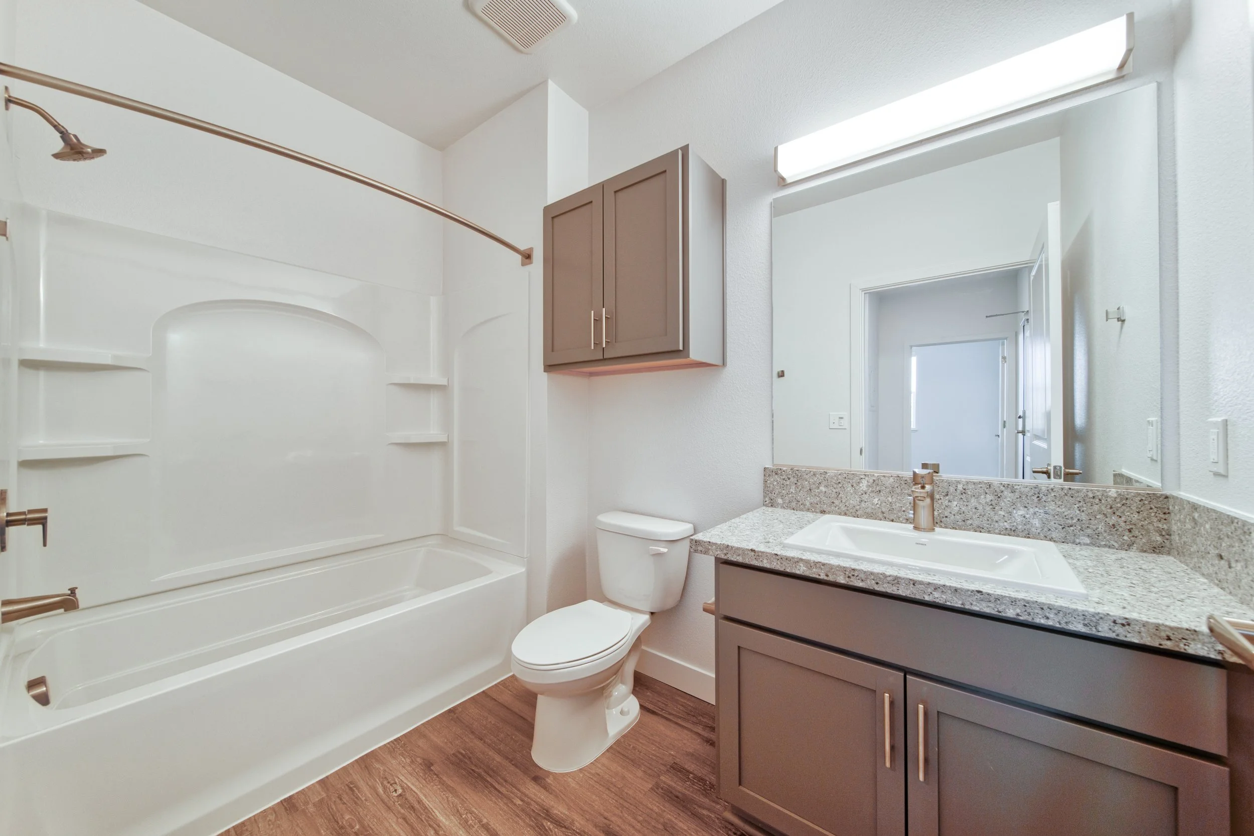 Bathroom with bathtub and shower, toilet, gray vanity with granite countertop, mirror, and wall-mounted light fixture.
