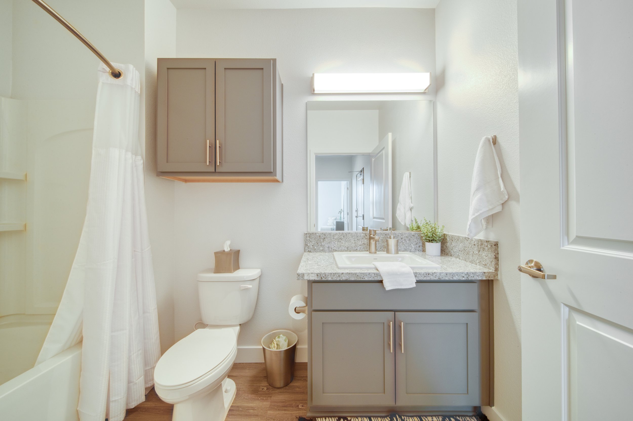 A bathroom with a gray vanity, granite countertop, and a mirror with a light fixture. To the left, a shower with a white curtain, and in front, a toilet with a toilet paper holder and a small trash bin. There are white towels hanging on the wall and 