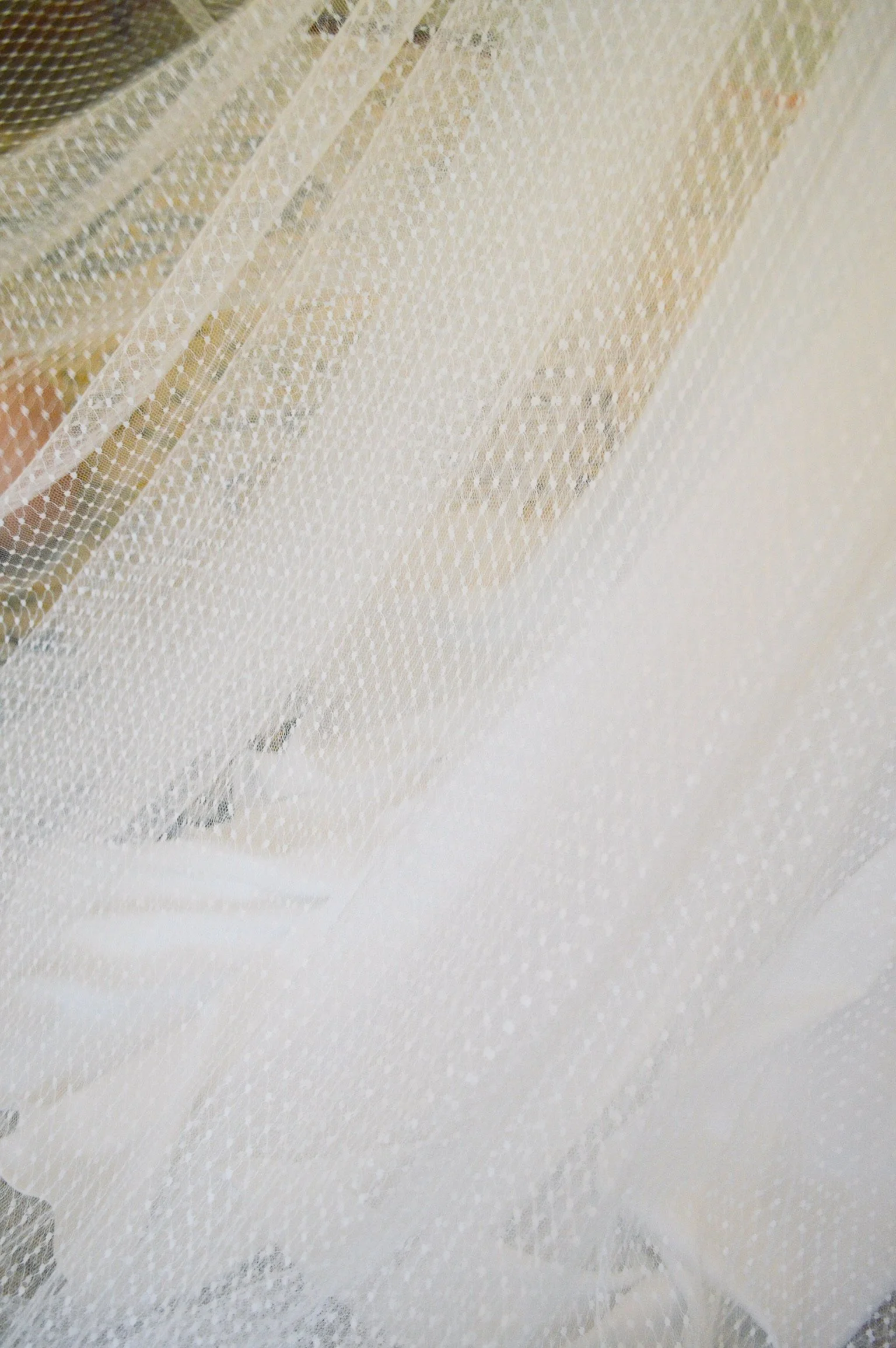 Close-up of a white, dotted, veil