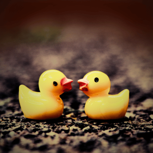 Adventures of the Inked and Feral: Episode Two