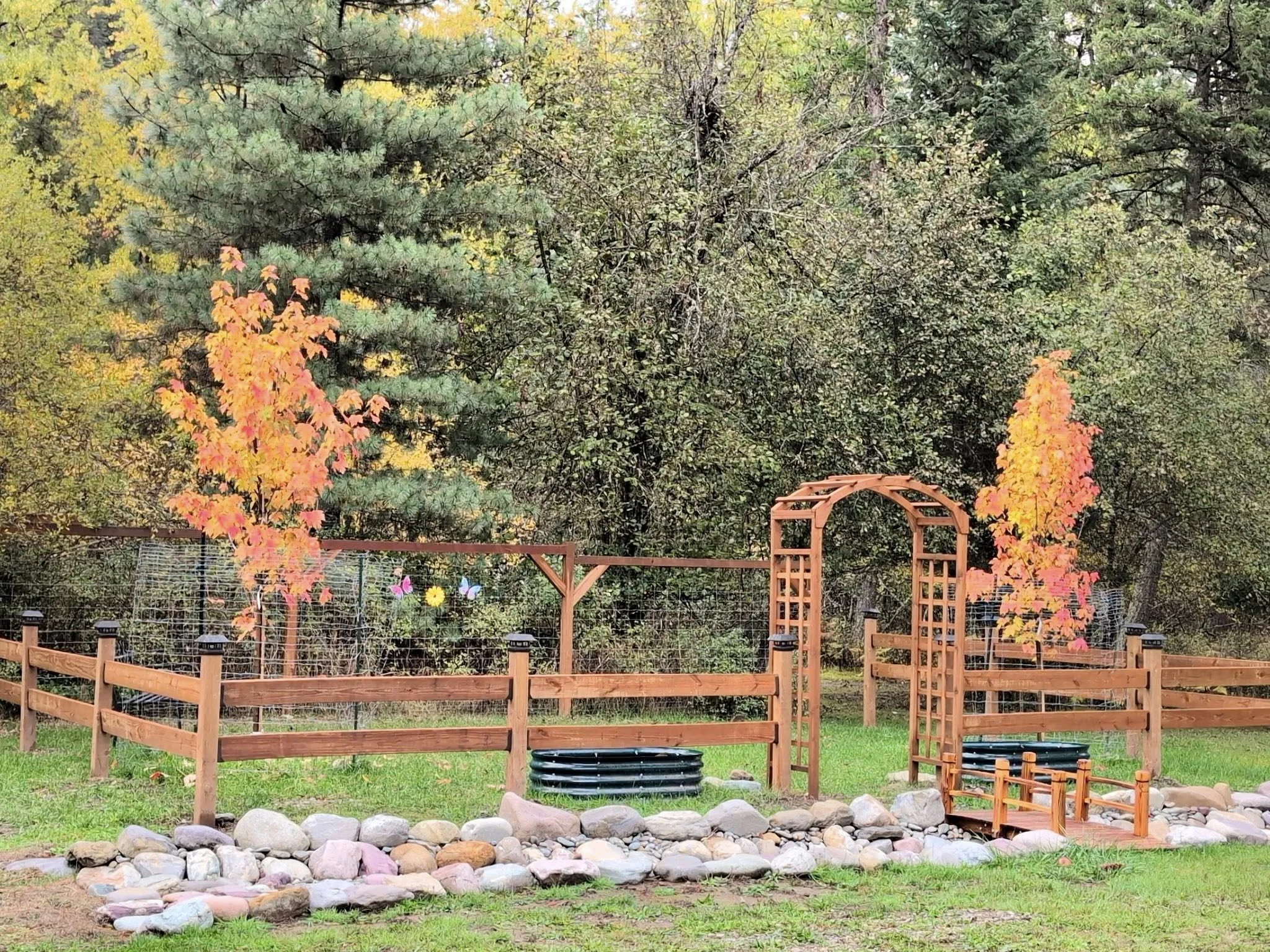 A backyard garden with a wooden fence, a stone border, and a wooden arbor, surrounded by trees with fall foliage in shades of orange, yellow, and green.