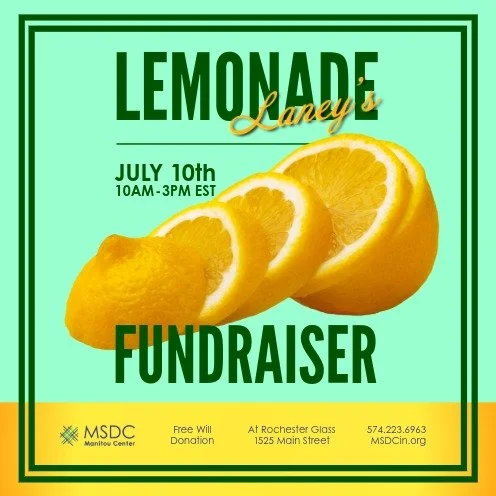 Laney's Lemonade Fundraiser 