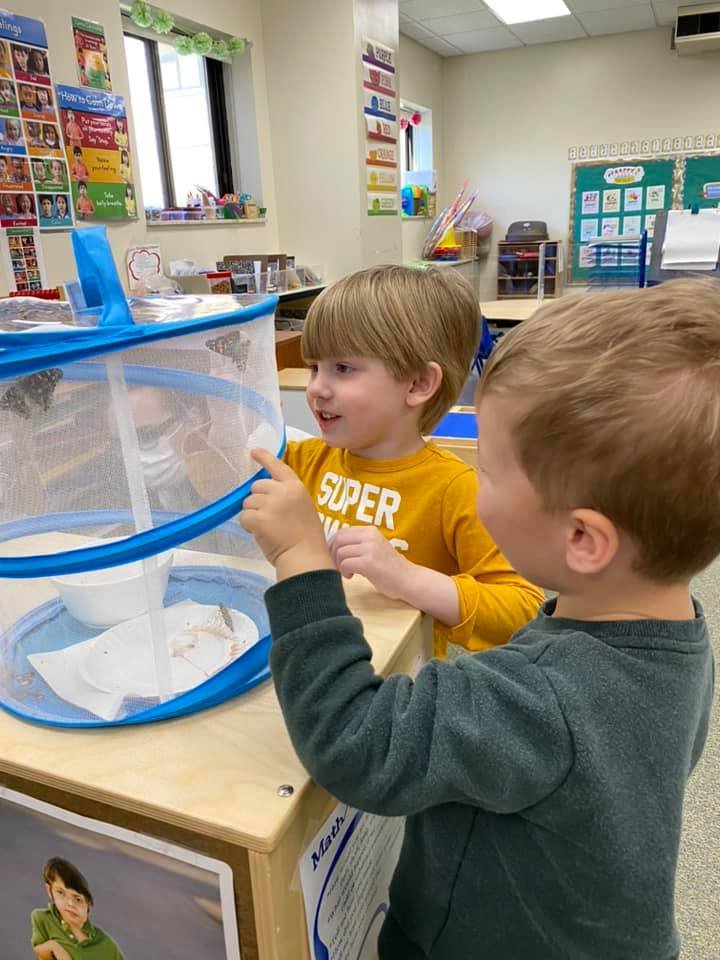 Two young boys are looking into a mesh activity cube with a white paper inside. They are in a brightly colored, classroom setting with educational posters and supplies visible in the background.
