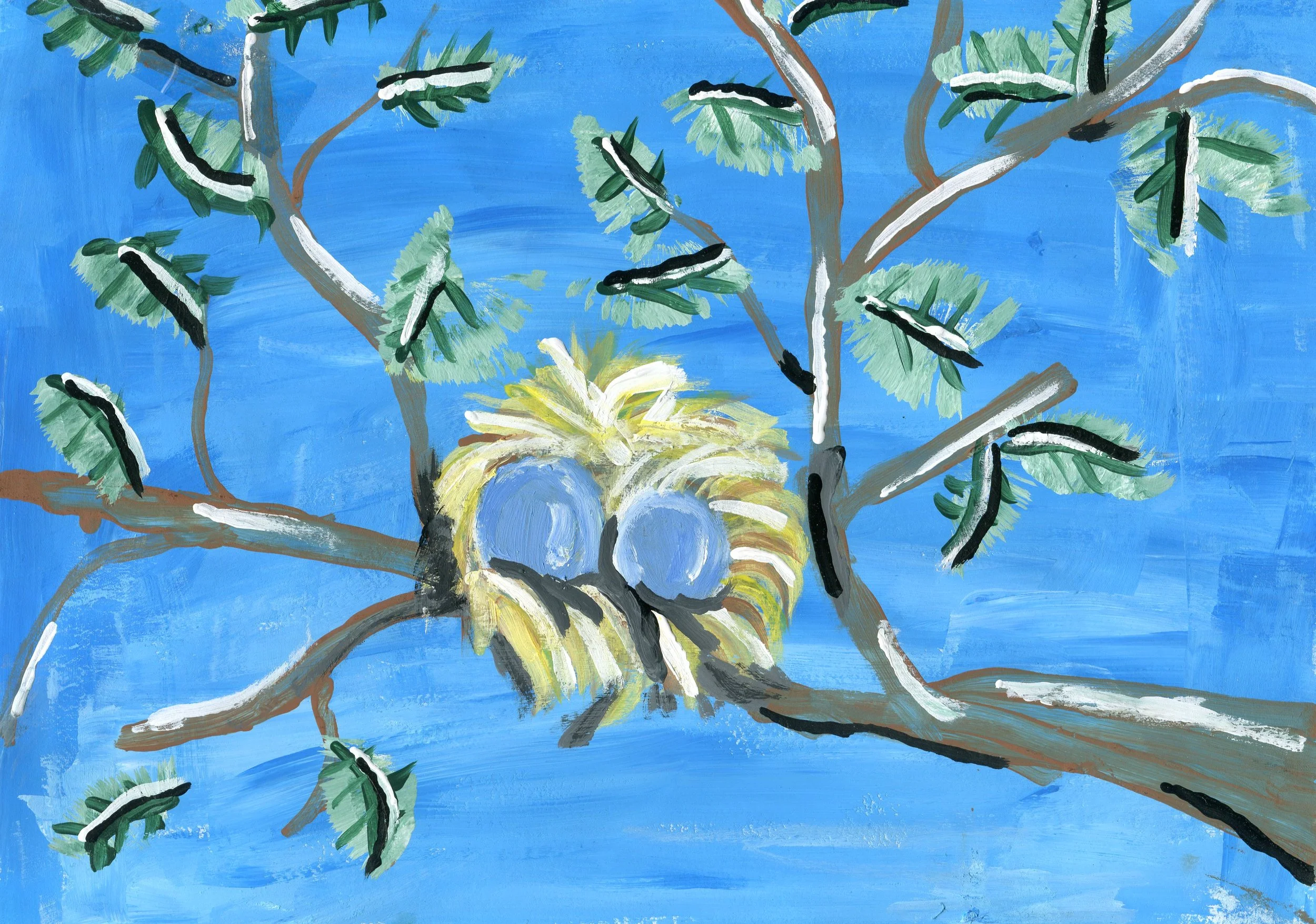 Stephanie M. Spring Birds Nest (Single Card)