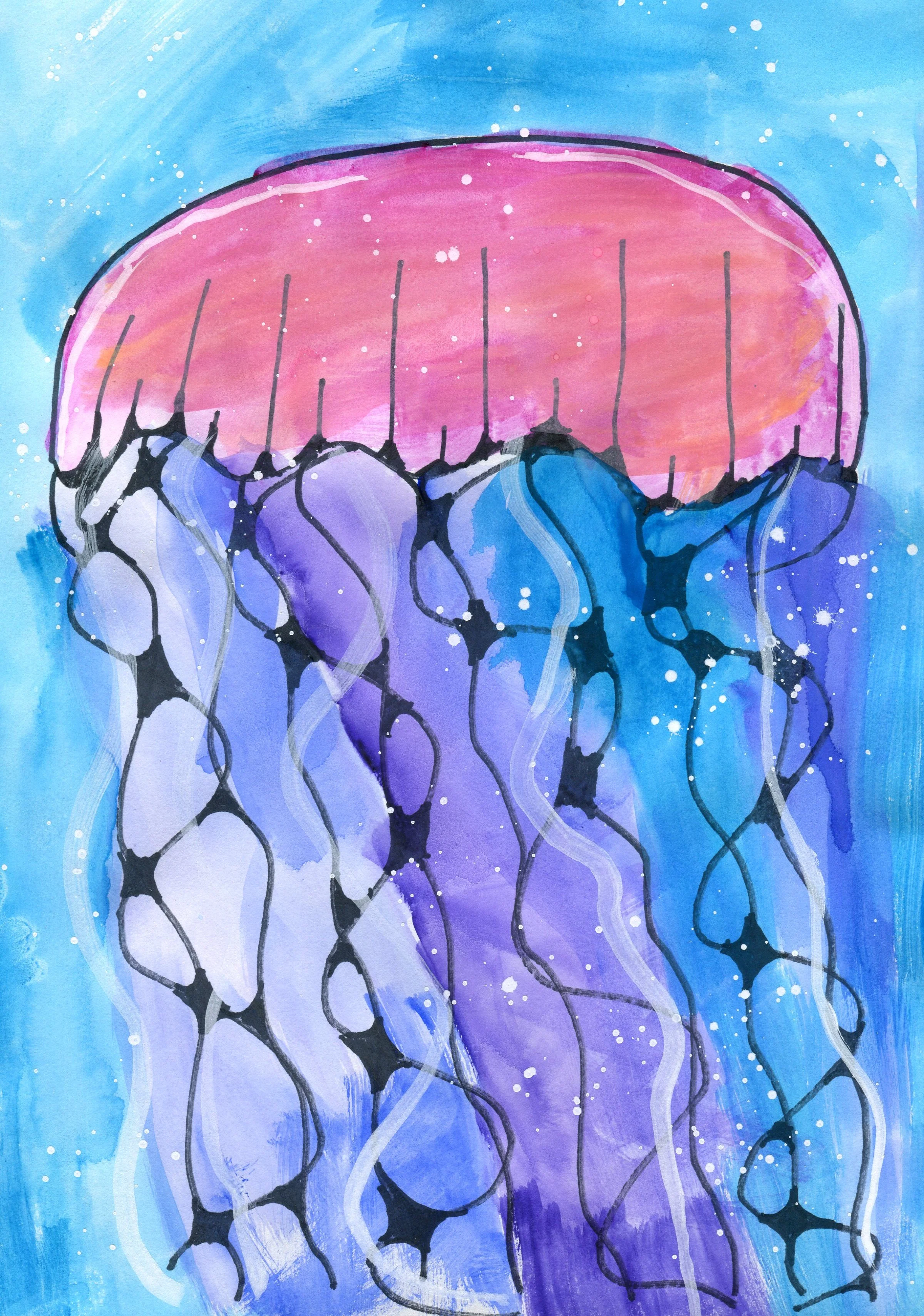 Calye M. Jelly Fish (Single Card)