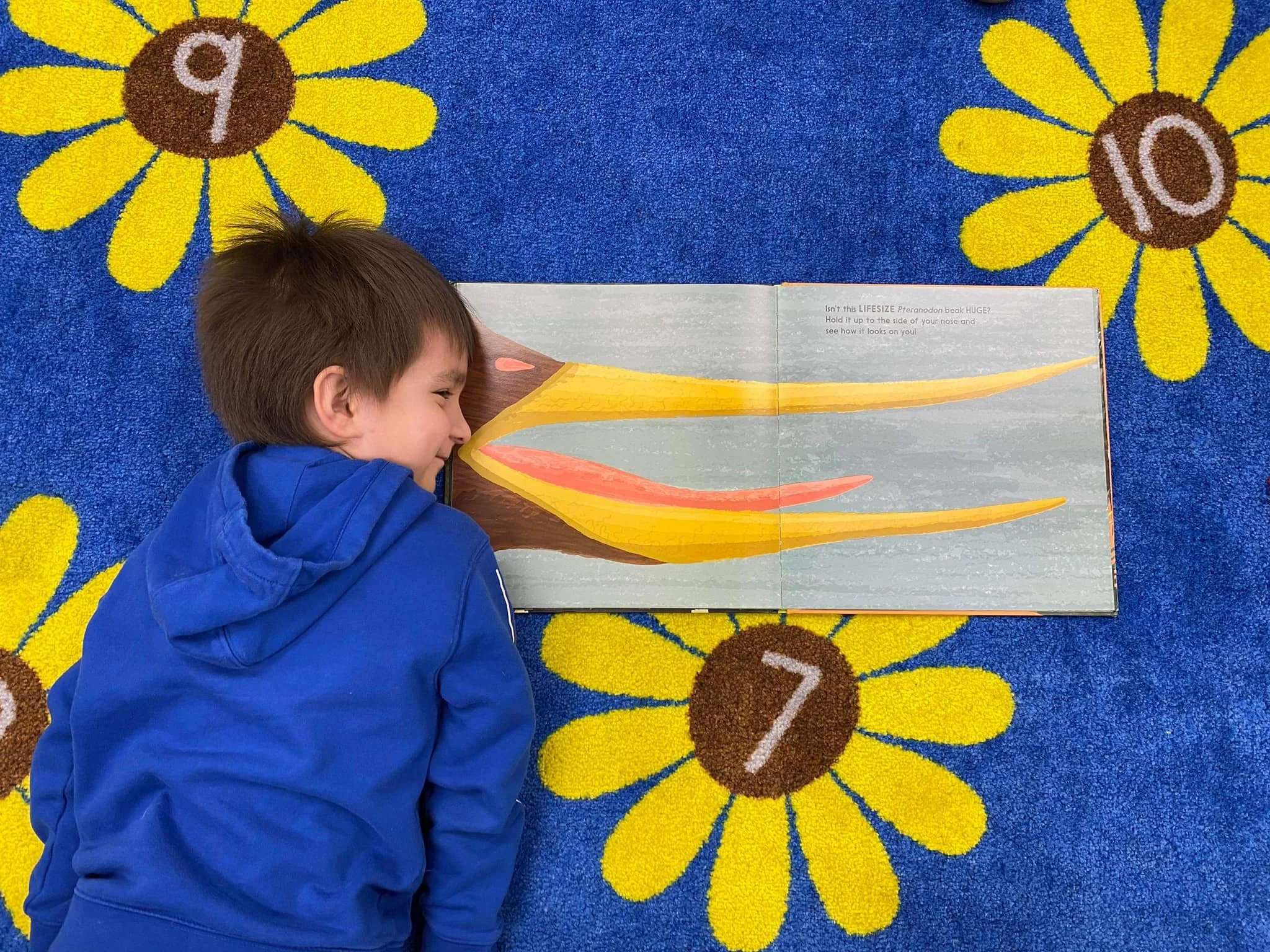 A boy with brown hair and a blue hoodie lying on a colorful flower-patterned blue carpet, next to a children's book with an illustration of a long beak, resembling a bird or dinosaur, with numbers 9, 10, and 7 on the carpet flowers.