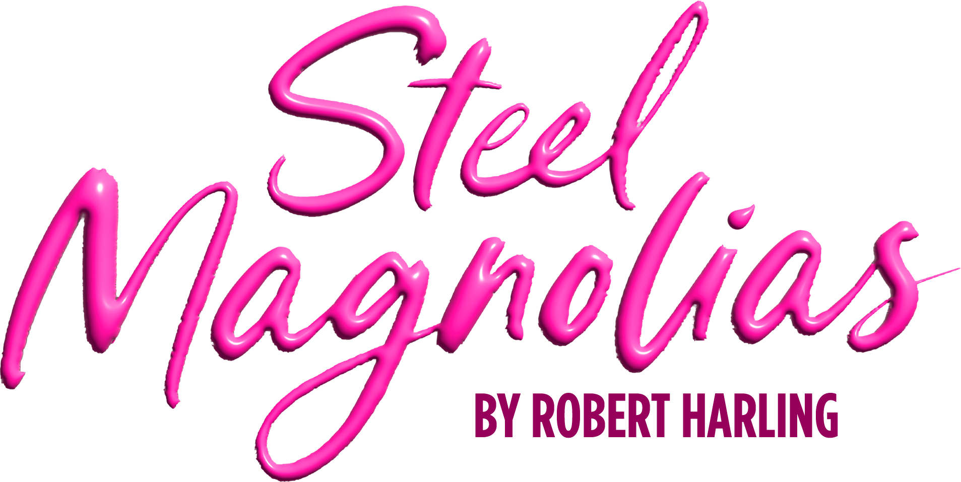 Pink neon-style text that reads "Steel Vagina" with a cursive font on a black background.