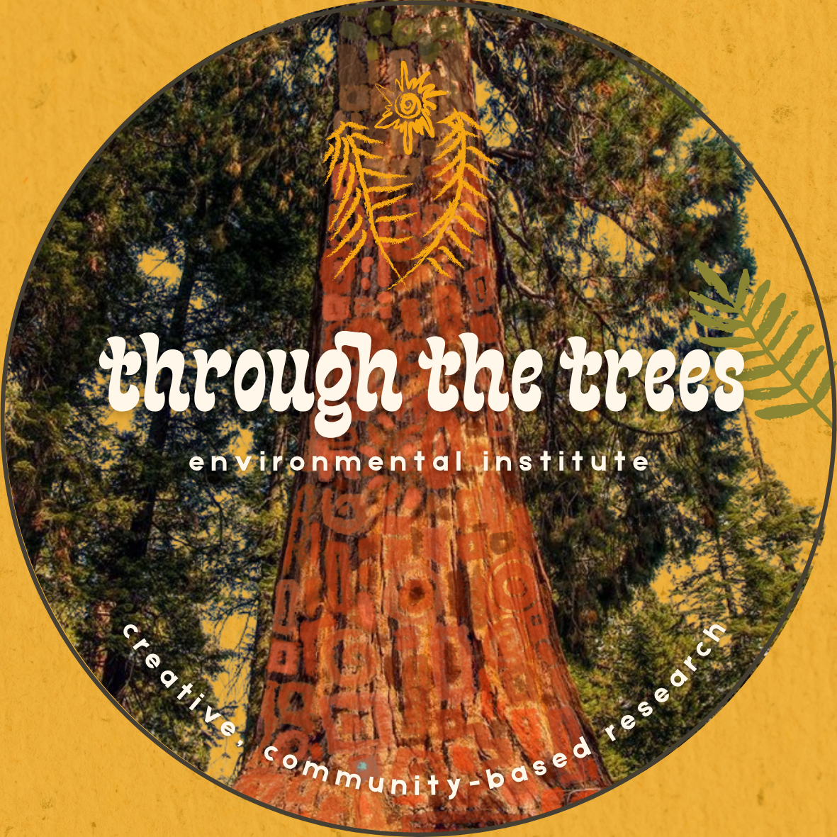 Through the Trees Classic Button (Limited Edition)