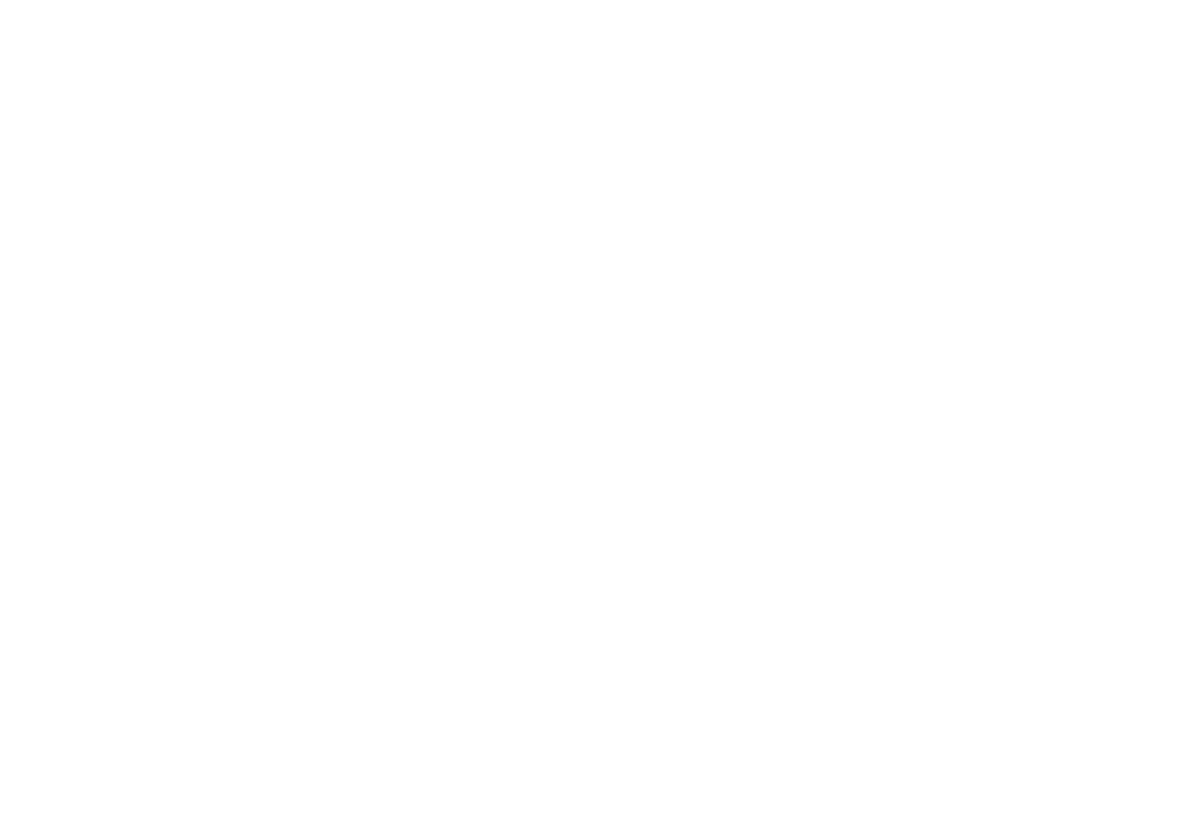 THE AMERICAN