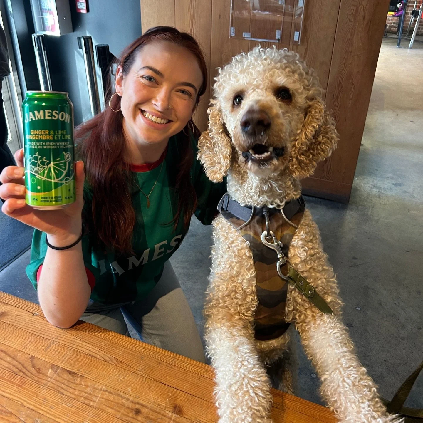 We&rsquo;ve got treats for the dogs and the dawgs &mdash; Grab a roadie or two from @grbngo on your way to the @whitecapsfc game &mdash; we&rsquo;re open at 12pm! See ya soon and Happy Saint Paddy&rsquo;s weekend!!! 🍀 

#vancouverbar #mainstreetvanc