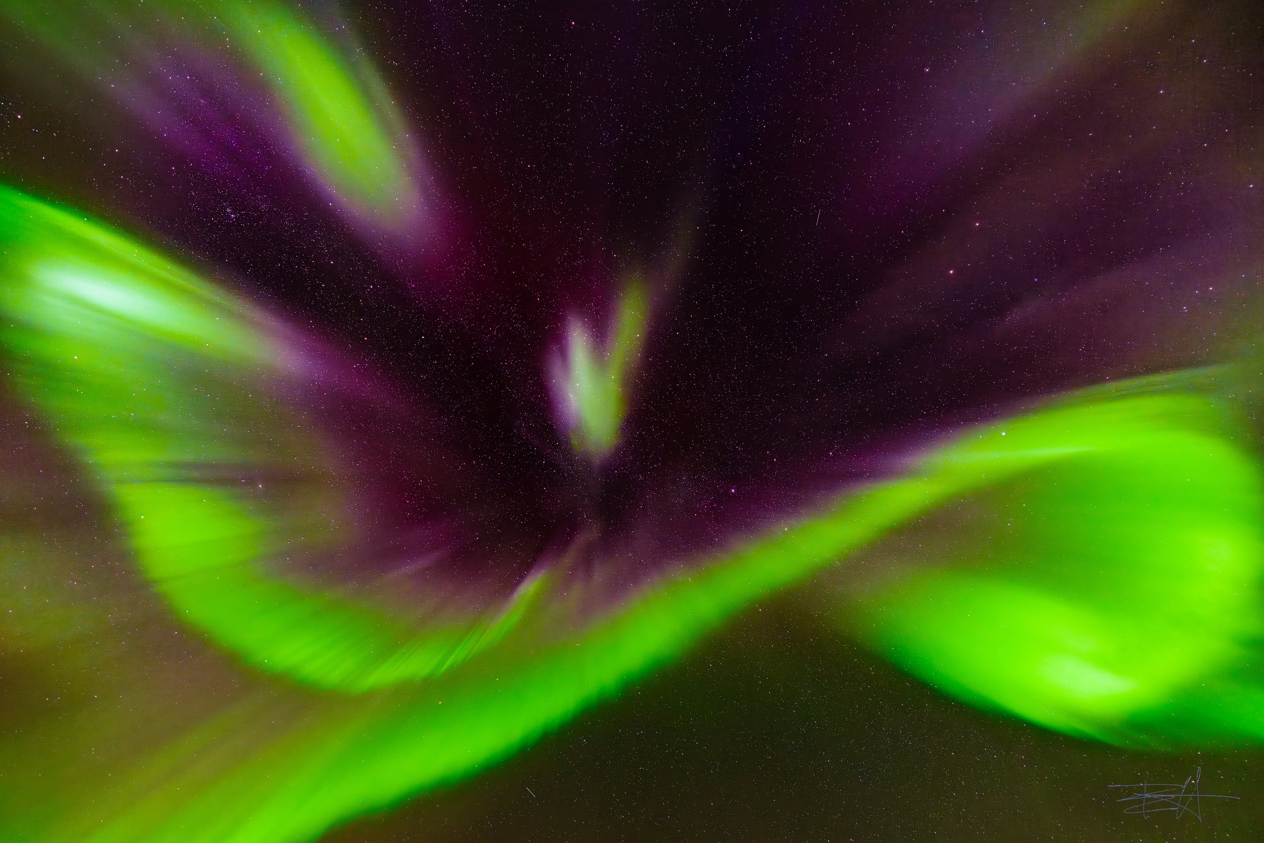 Aurora borealis in Iceland 5