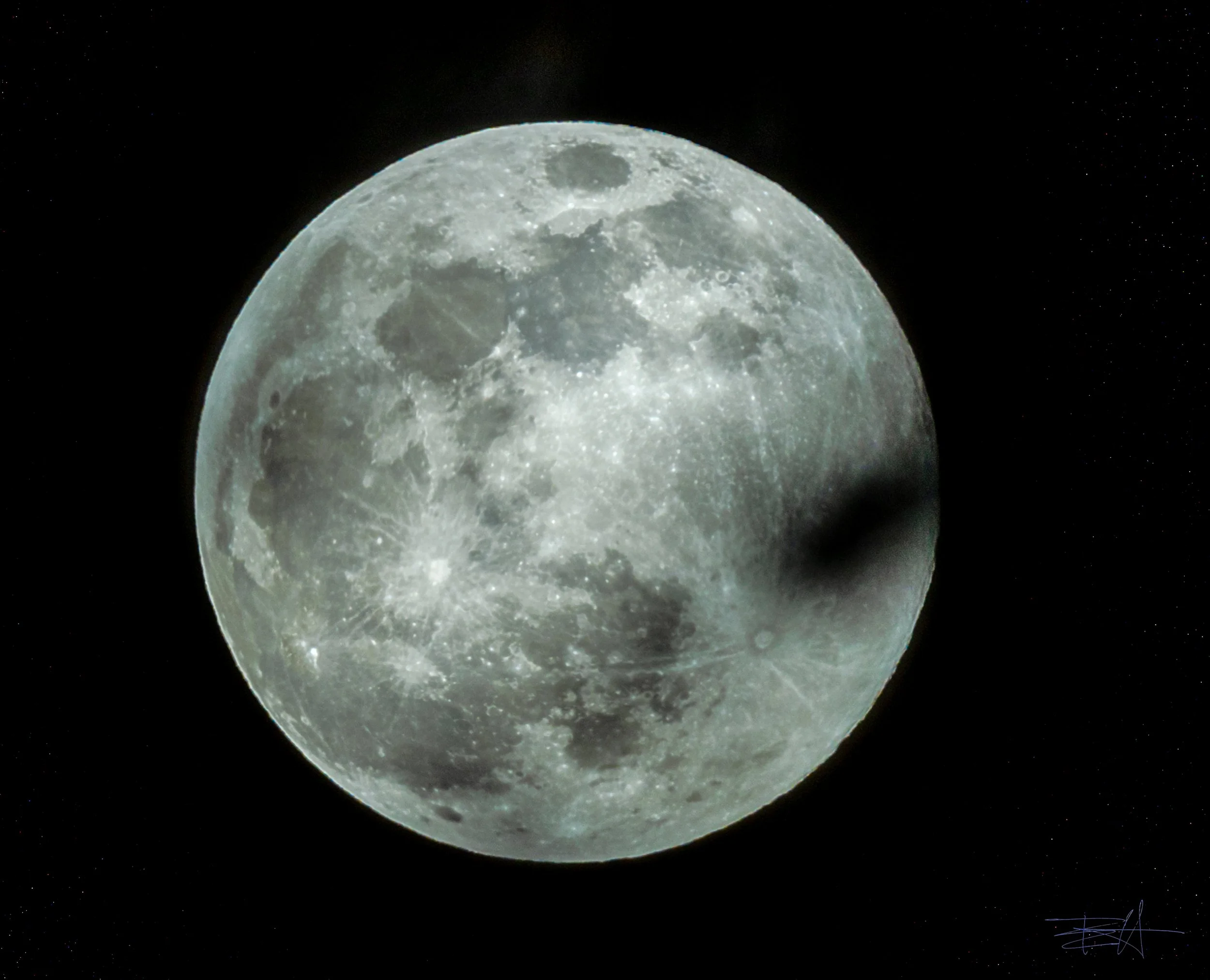 Moon through the trees in Albion