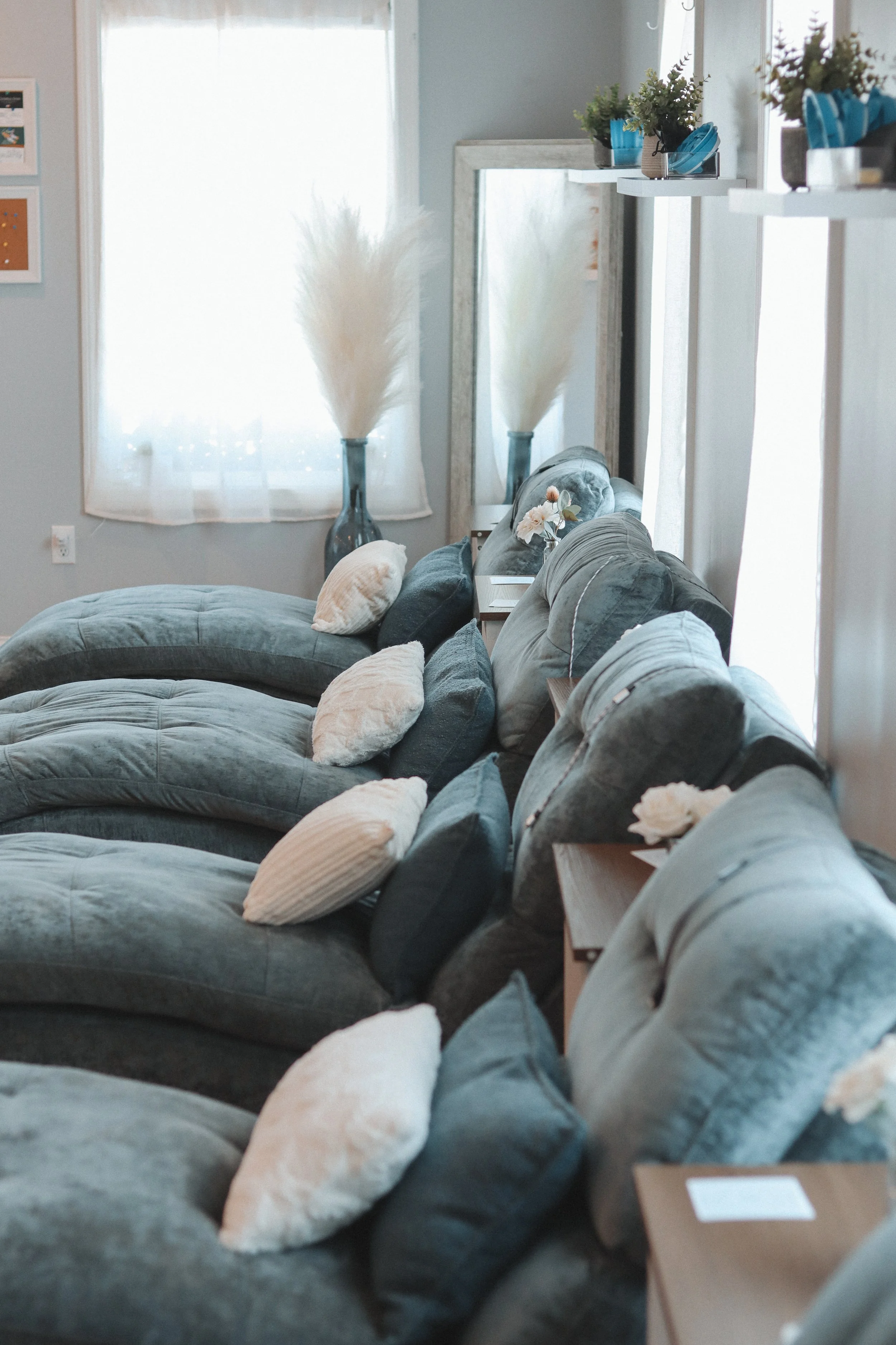 A row of plush velvet armchairs with cream-colored cushions in a cozy, well-lit room with large windows, white curtains, and decorative plants on shelves.