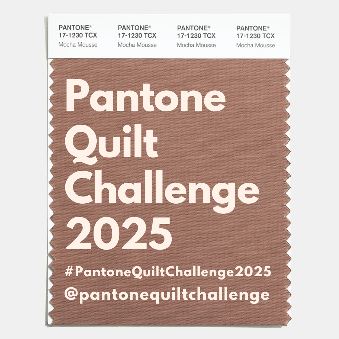 Pantone Quilt Challenge 2025