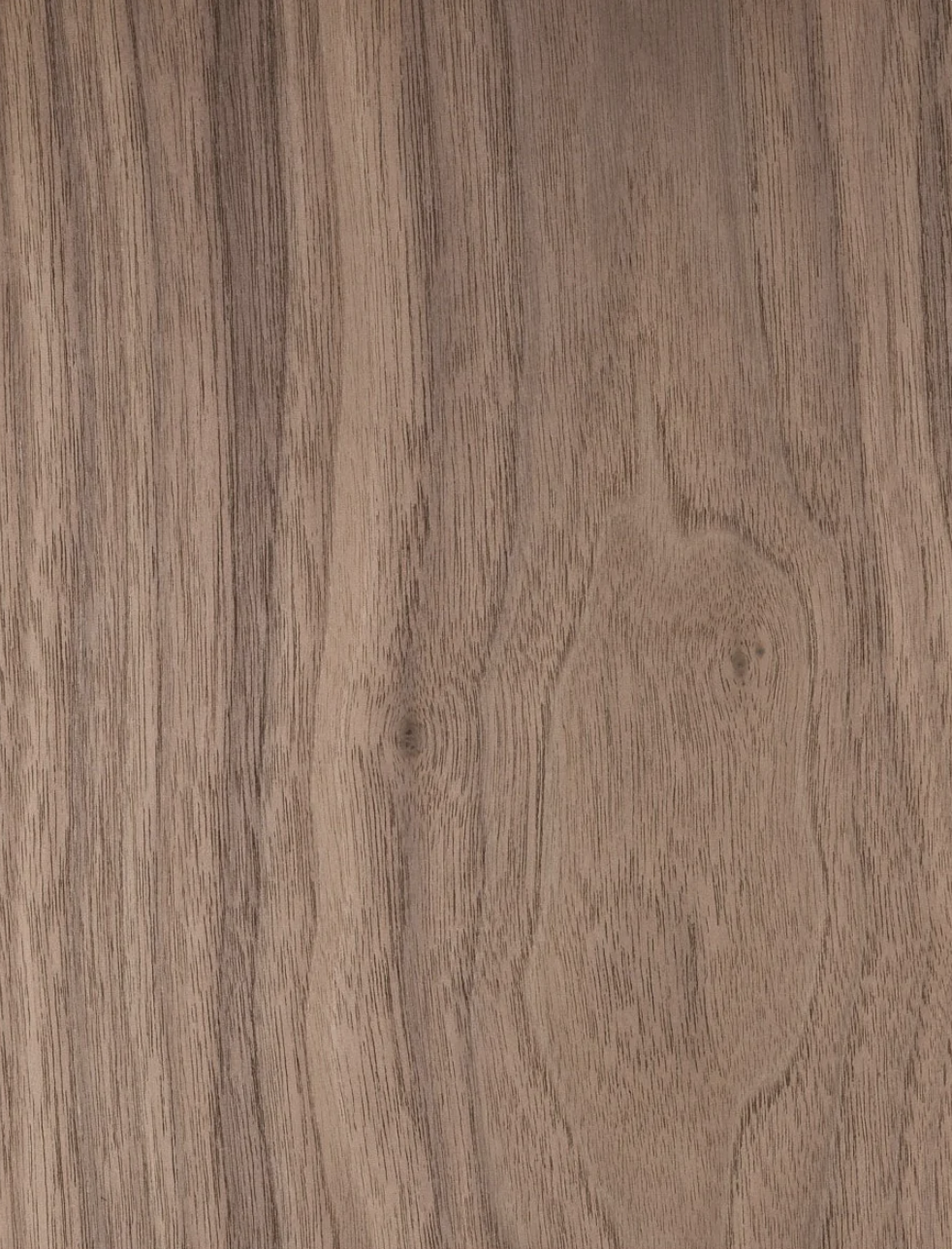 American Black Walnut