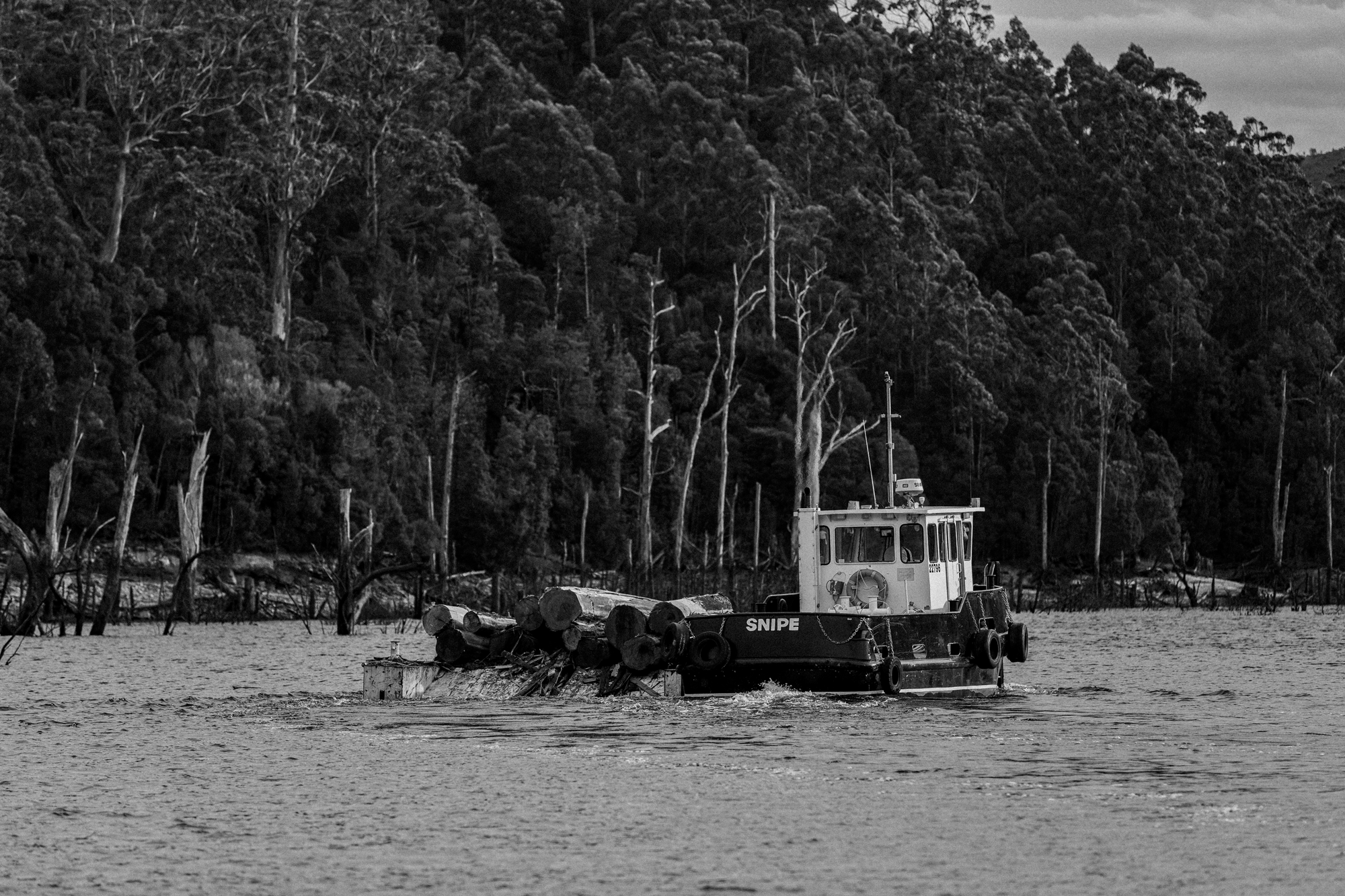 Tasmanian lake with barge and timber processing