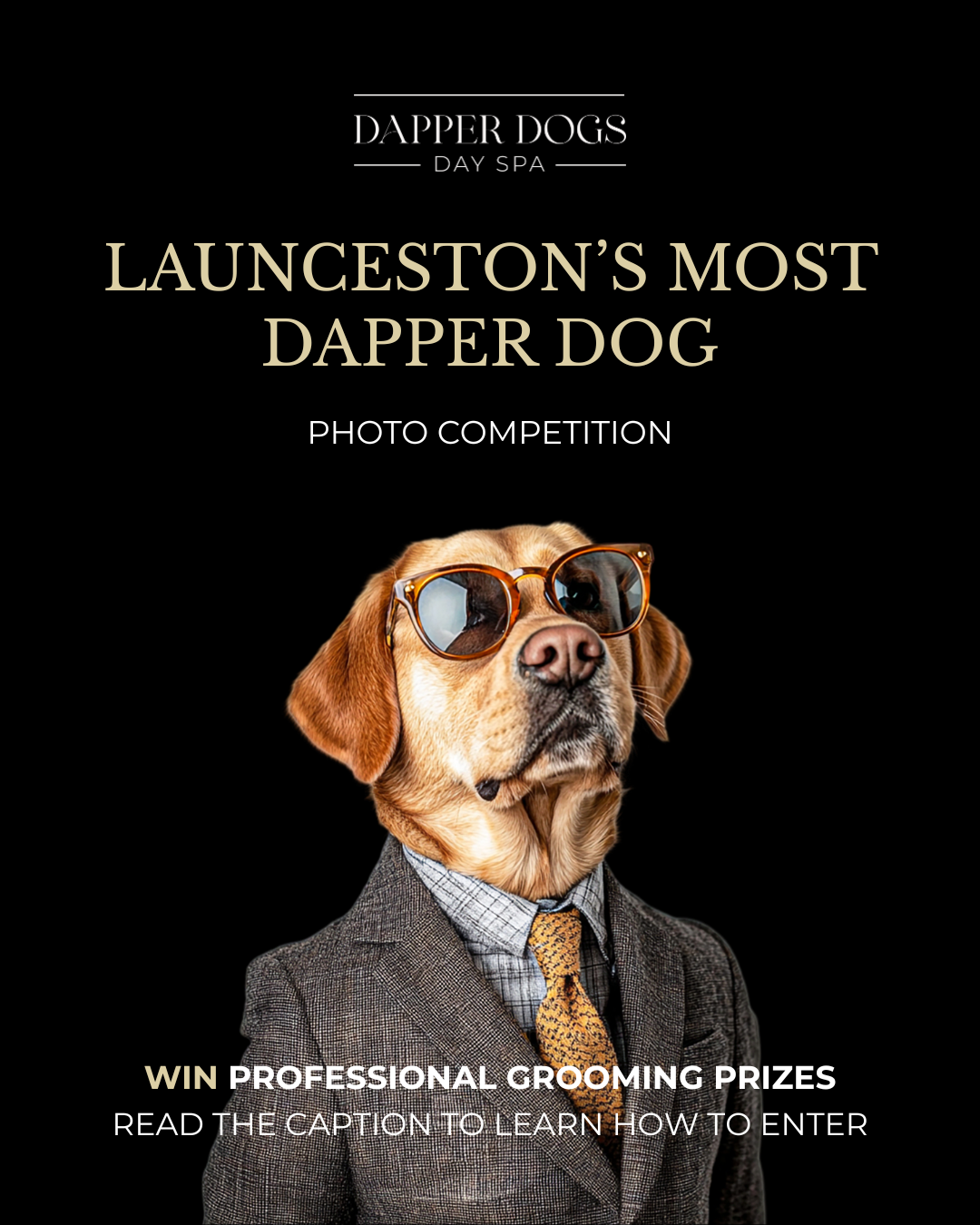 Dog with glasses photo competition