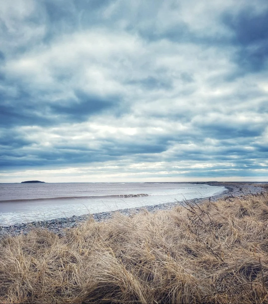 A beach scene with dry grass in the foreground, calm water in the middle, and a cloudy sky overhead.