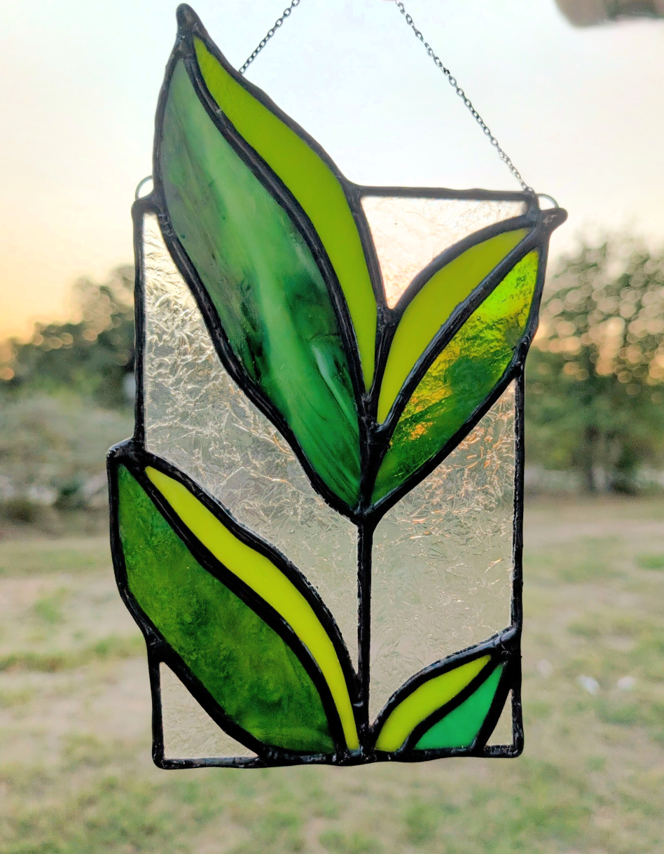 ᎦᎪᏗ Gakohdi (plant)