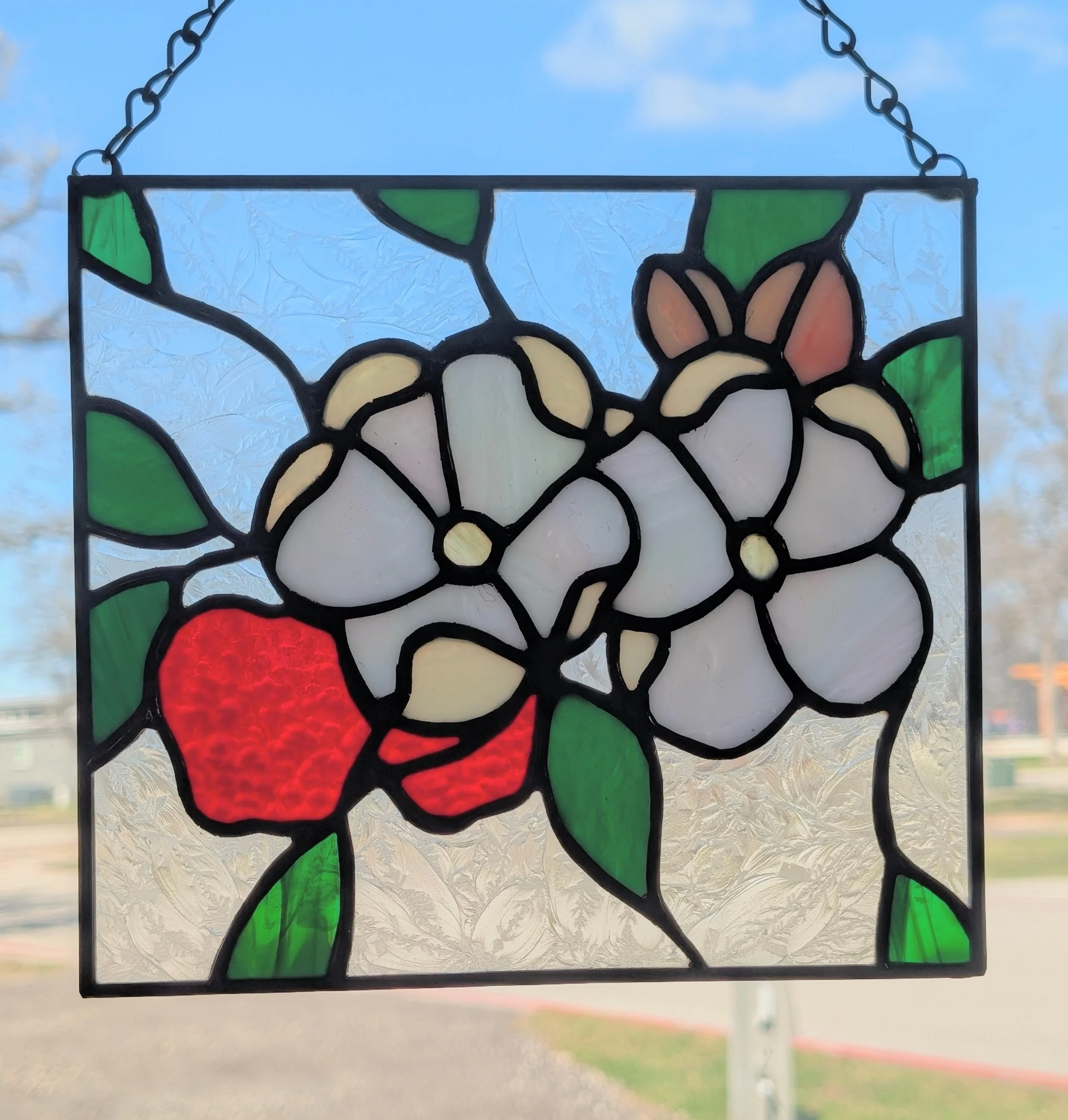 PXL_20260215_182612967.PORTRAIT.ORIGINAL Copy.jpeg