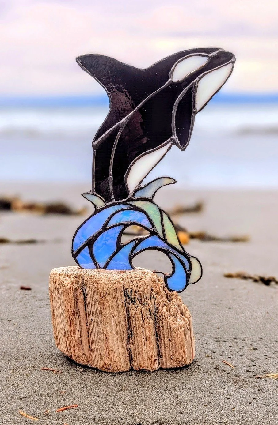 Orca on Driftwood
