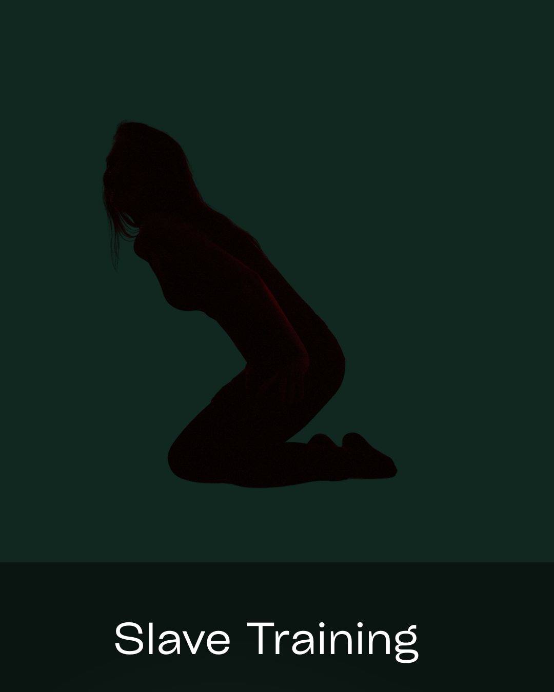 Silhouette of a kneeling woman with the words 'Slave Training' at the bottom.