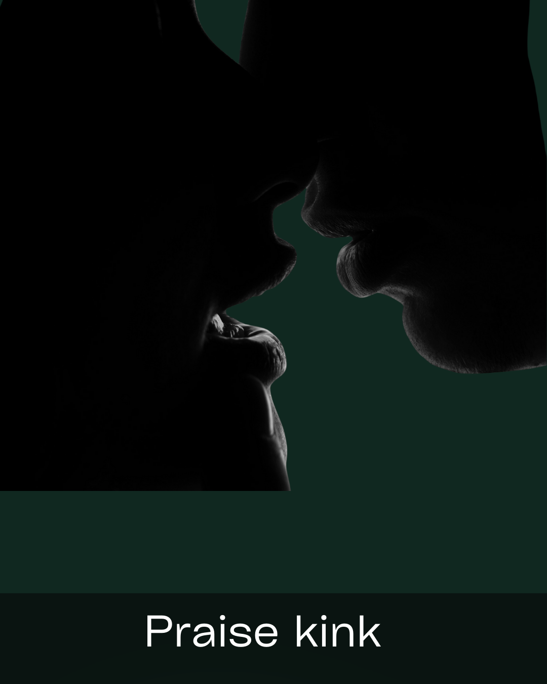 Silhouette of two people about to kiss, with 'Praise kink' text below.