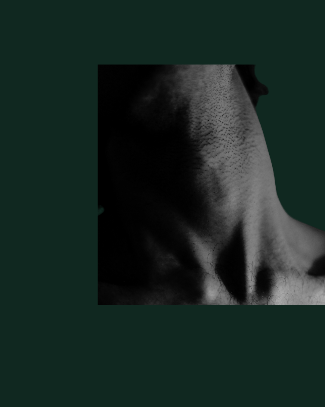 Close-up black and white photo of a person's neck and collarbone area, with some shadow and texture.