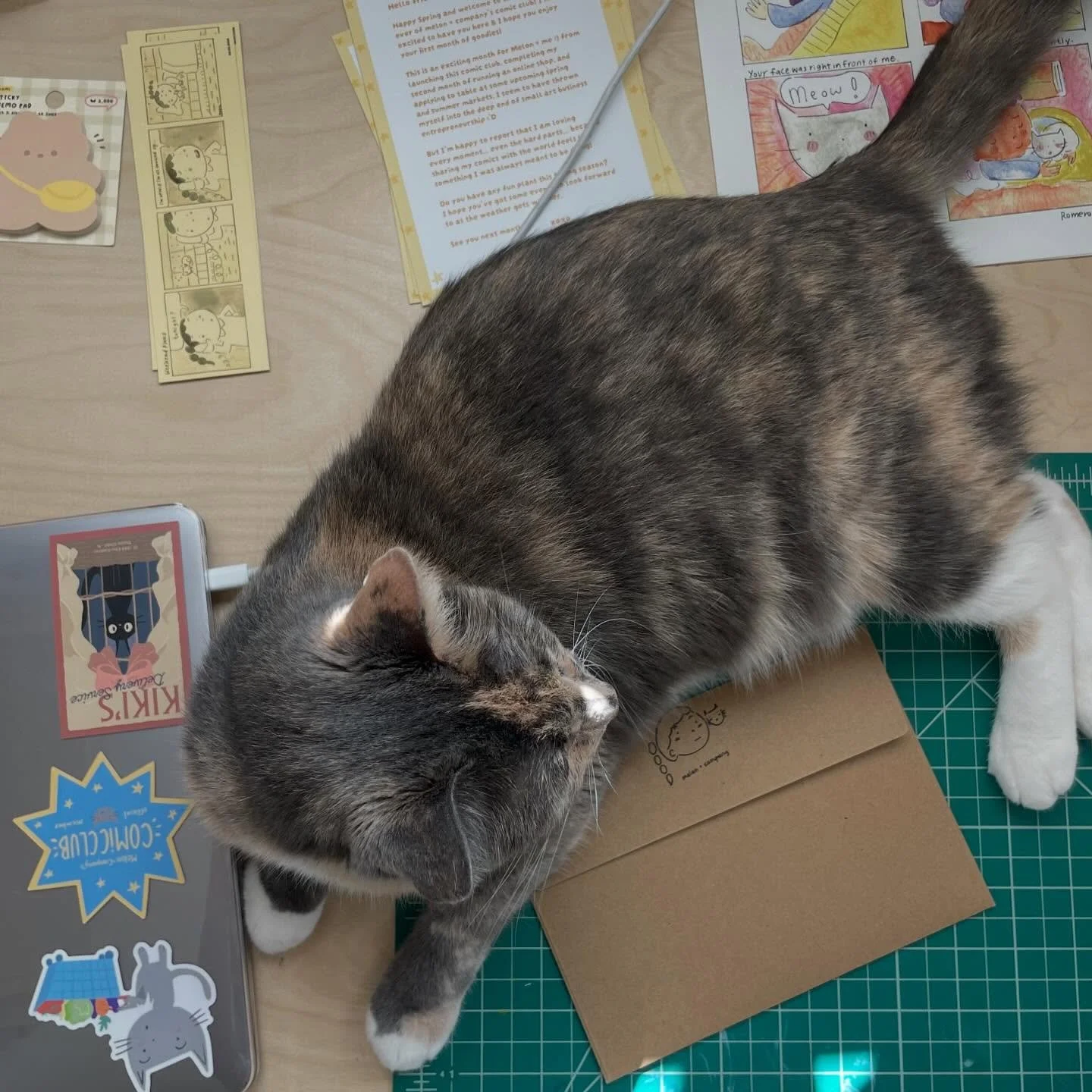 melon + company&rsquo;s april 2026 camera roll <3 

exciting things happening in may! ⭐️ May comic club exclusives, shop updates and tabling at Japanology Fair 5/24 in Lomita 😊 it&rsquo;s gonna be a busy month O_O 

#comic #cat #illustration