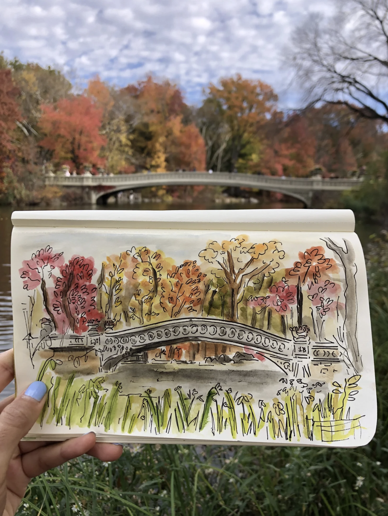 Screen Shot 2026-01-13 at 3.19.16 PM.png