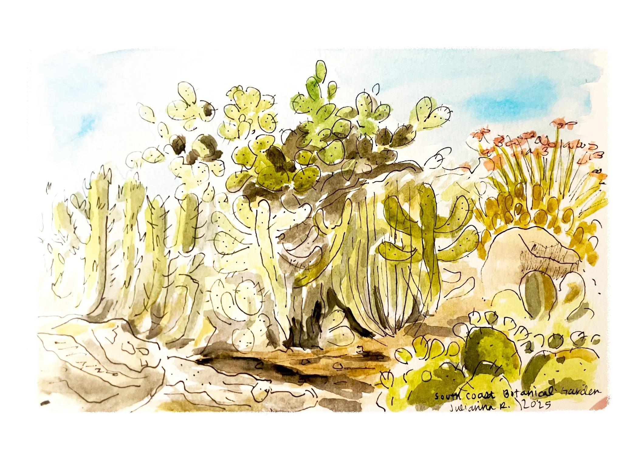 cactus garden 5x7 print.jpg