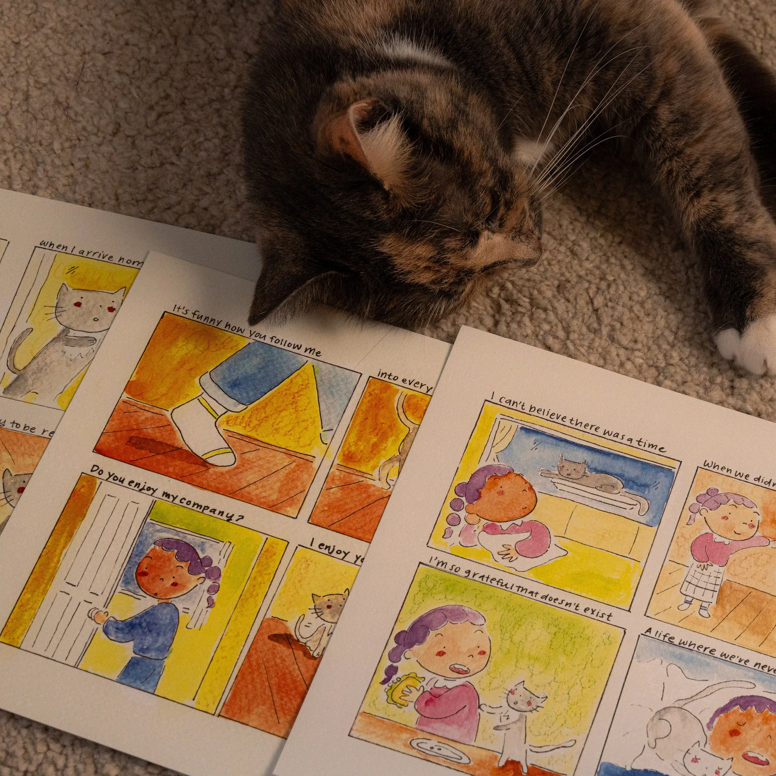 'letters to my cat' Popular Comics Bundle