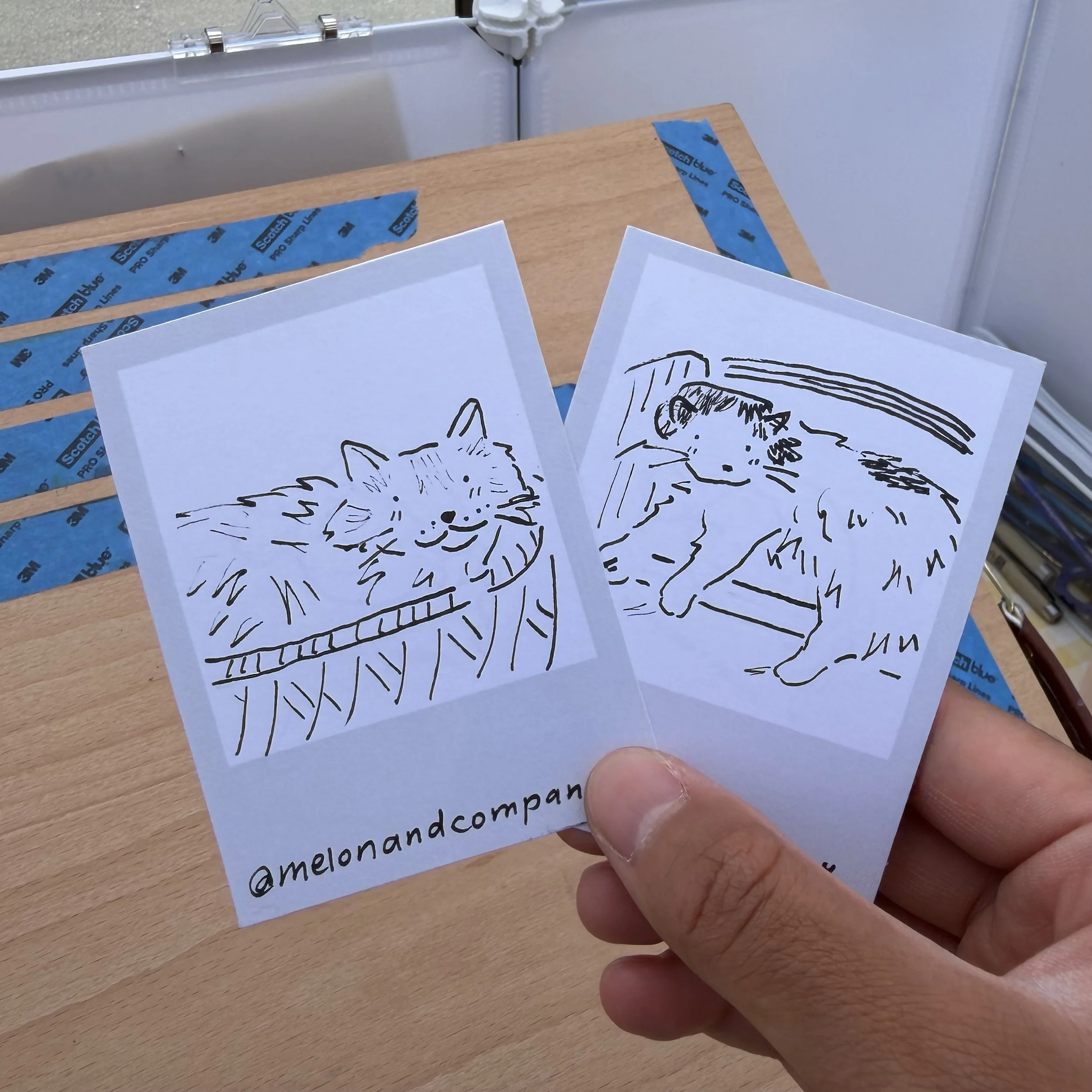 Pet Polaroid Sketch