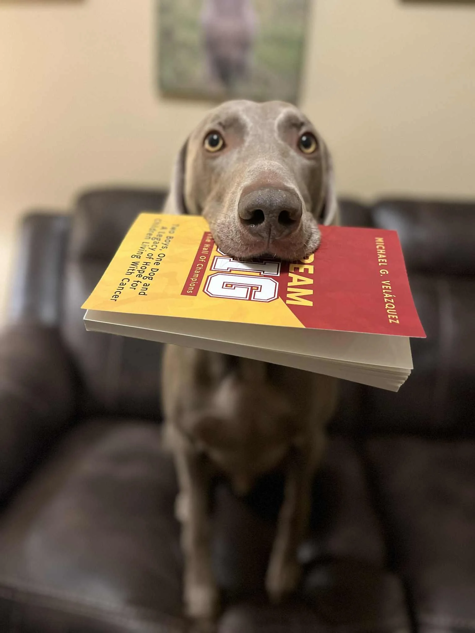 Meet Dietrich: How One Dog Honors OdieBoy and Highlights the Healing Power of Pets for Children With Cancer