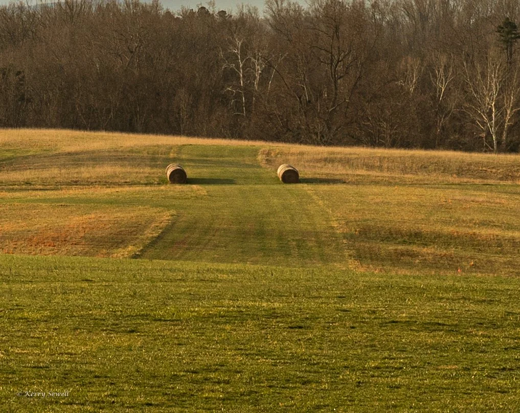 Hay bales.jpg