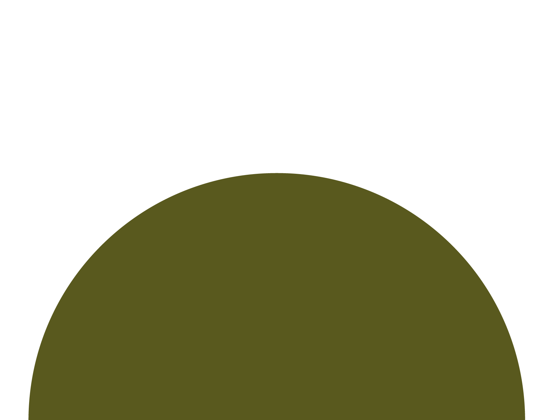An olive green circle with a transparent background.
