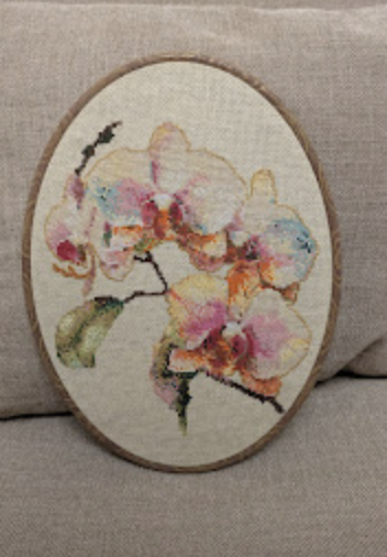 Screenshot 2026-03-04 at 2.32.48 PM.png