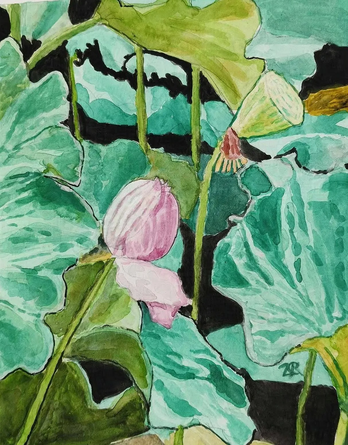Cuihu Lotuses; Watercolour on paper; 9.5*7.5 inches; 2024
