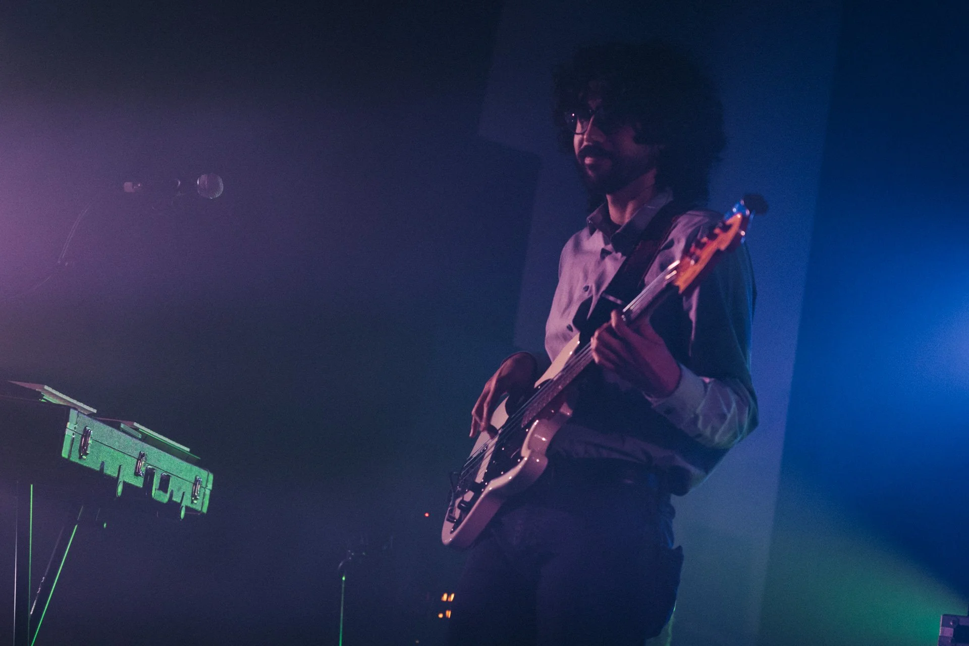 Russian Blue Roxy 1-31-26-17.jpg