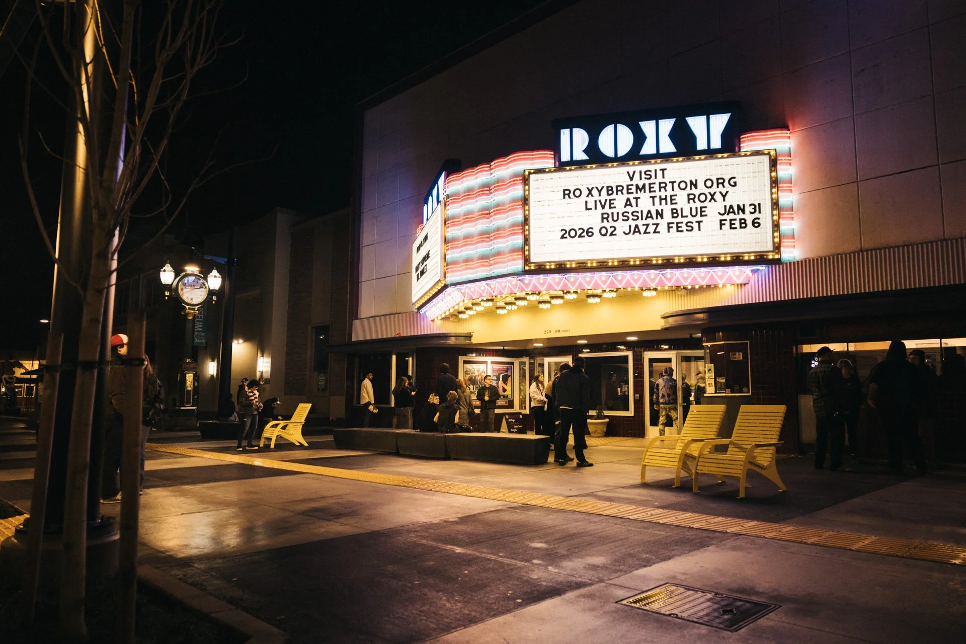 Russian Blue Roxy 1-31-26-1-3.jpg