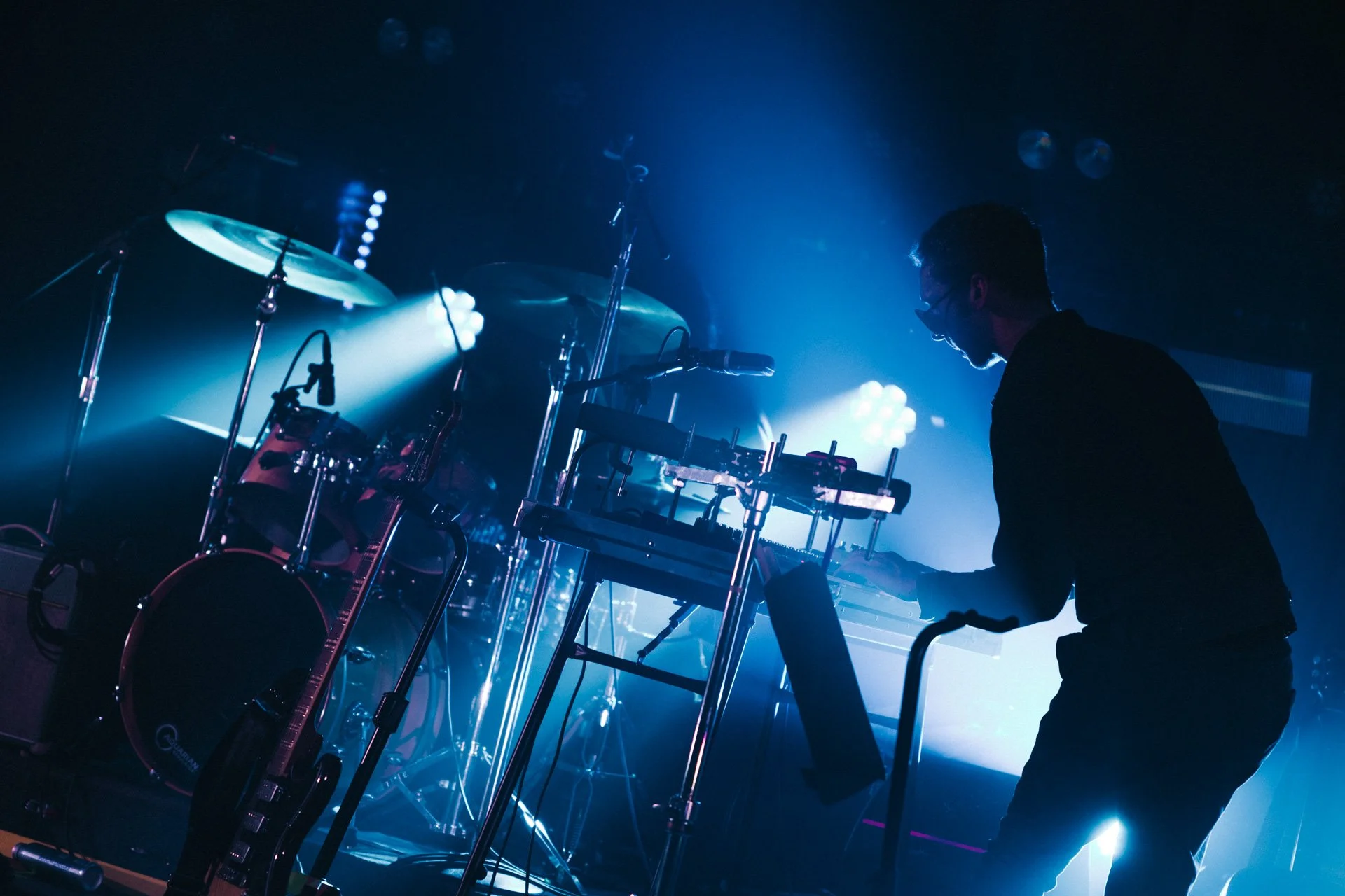 Russian Blue Roxy 1-31-26-62.jpg
