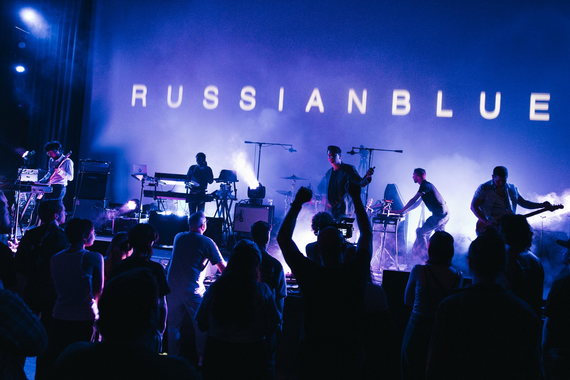 Russian Blue Tracyton 5-10-25-29.jpg