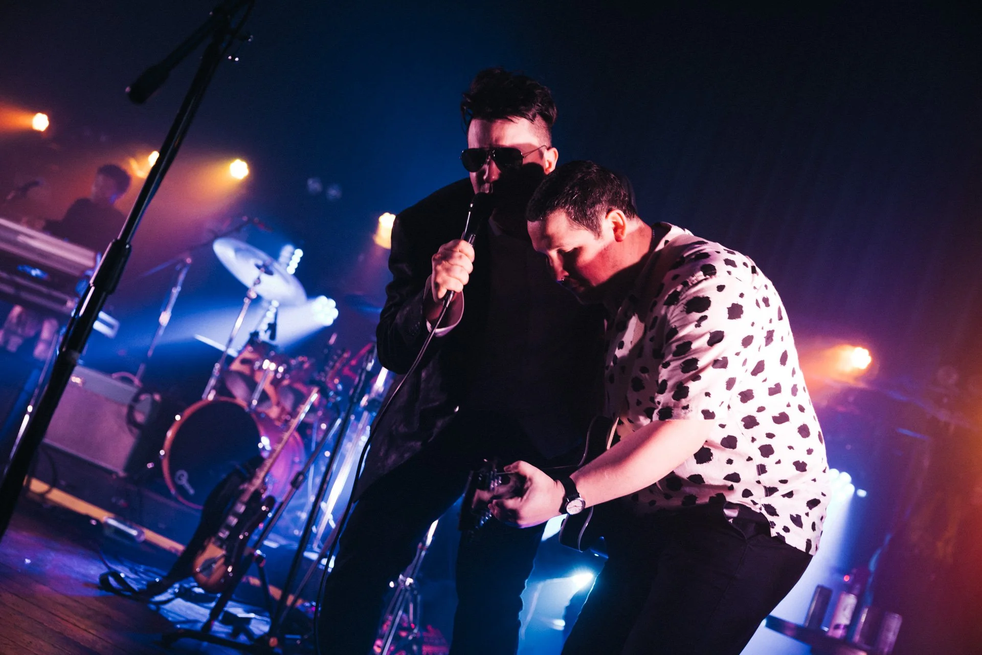 Russian Blue Roxy 1-31-26-71.jpg