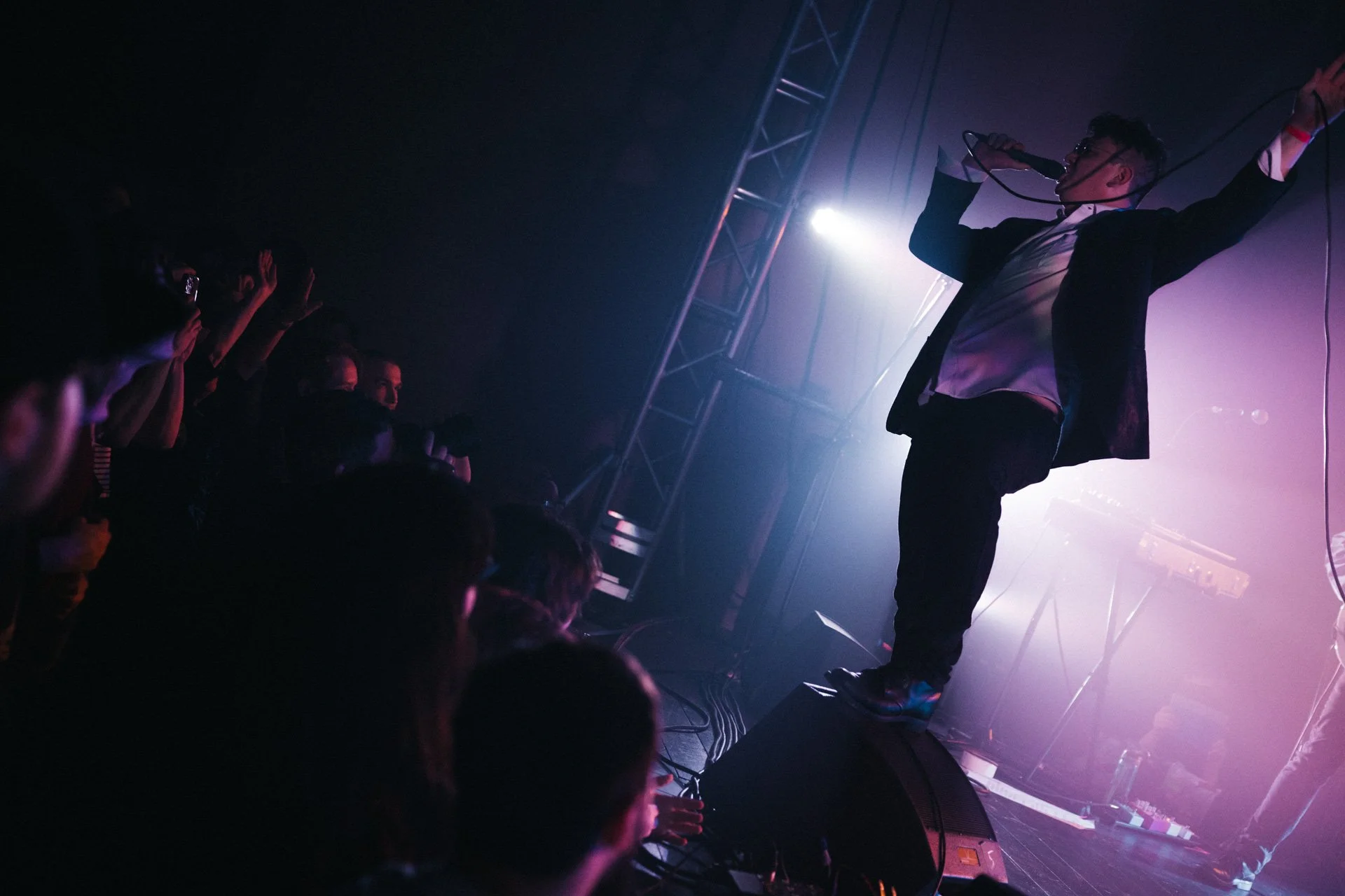 Russian Blue Roxy 1-31-26-74.jpg