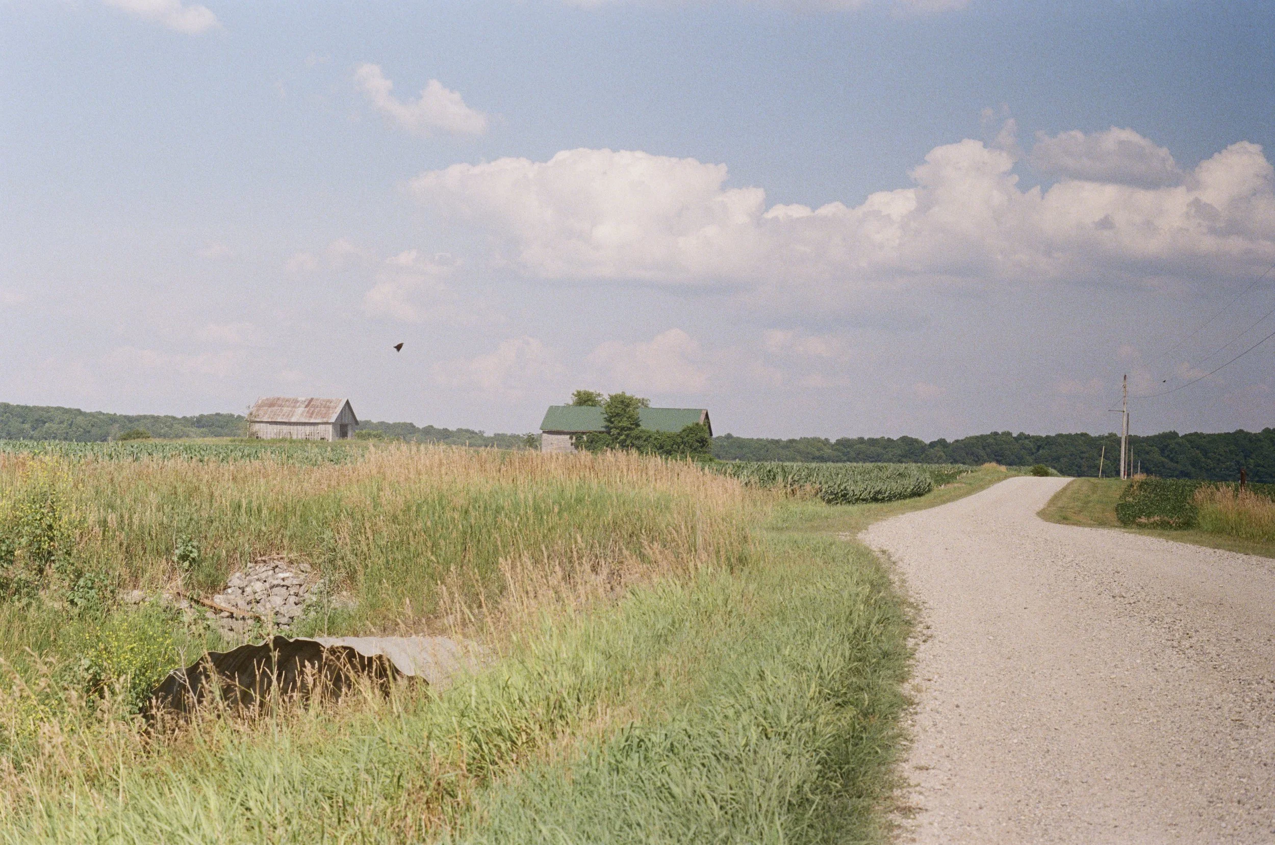 Fuji 400 Film Stock - Continuation of county road outside Peru, Indiana. The splitting of two fields. 2025