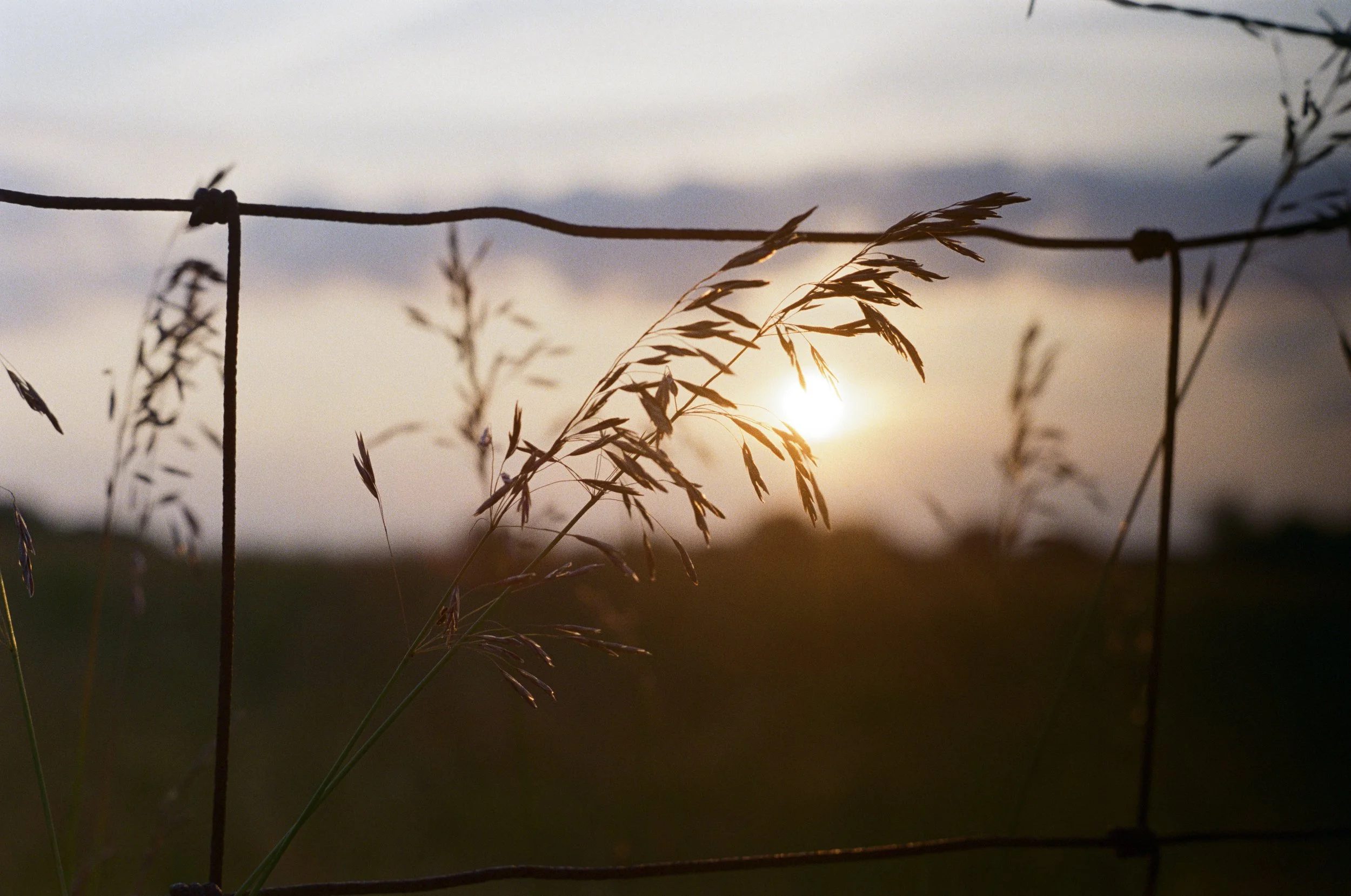 Ignorance or knowledge?