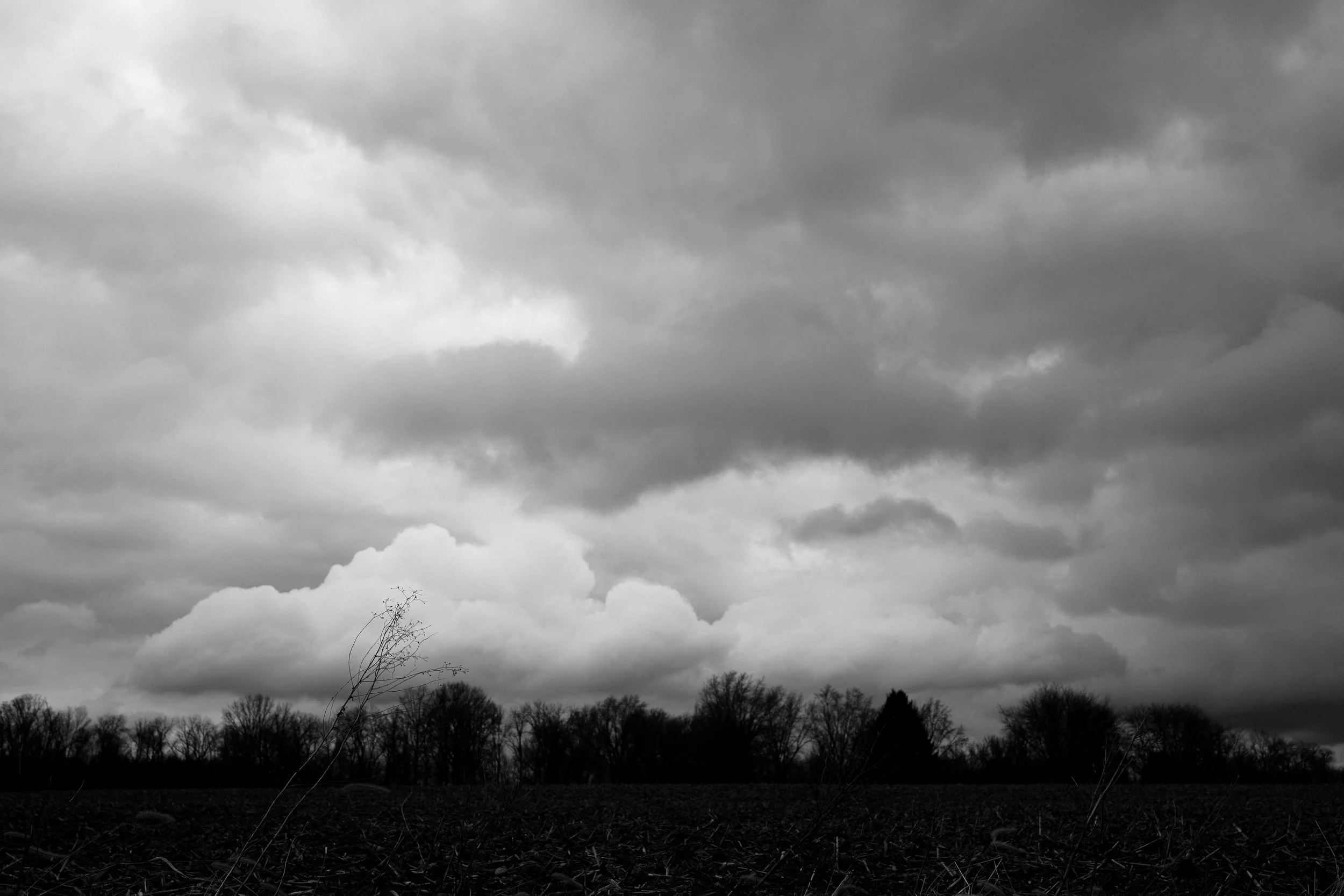 Finding Beauty In Everyday Life. 