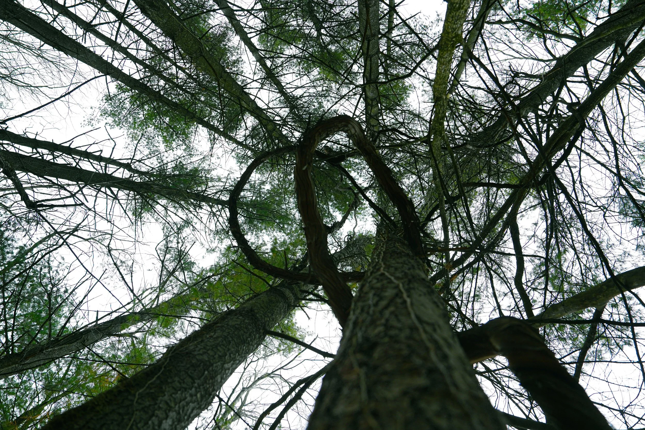 Photography by Lorynn Hunt