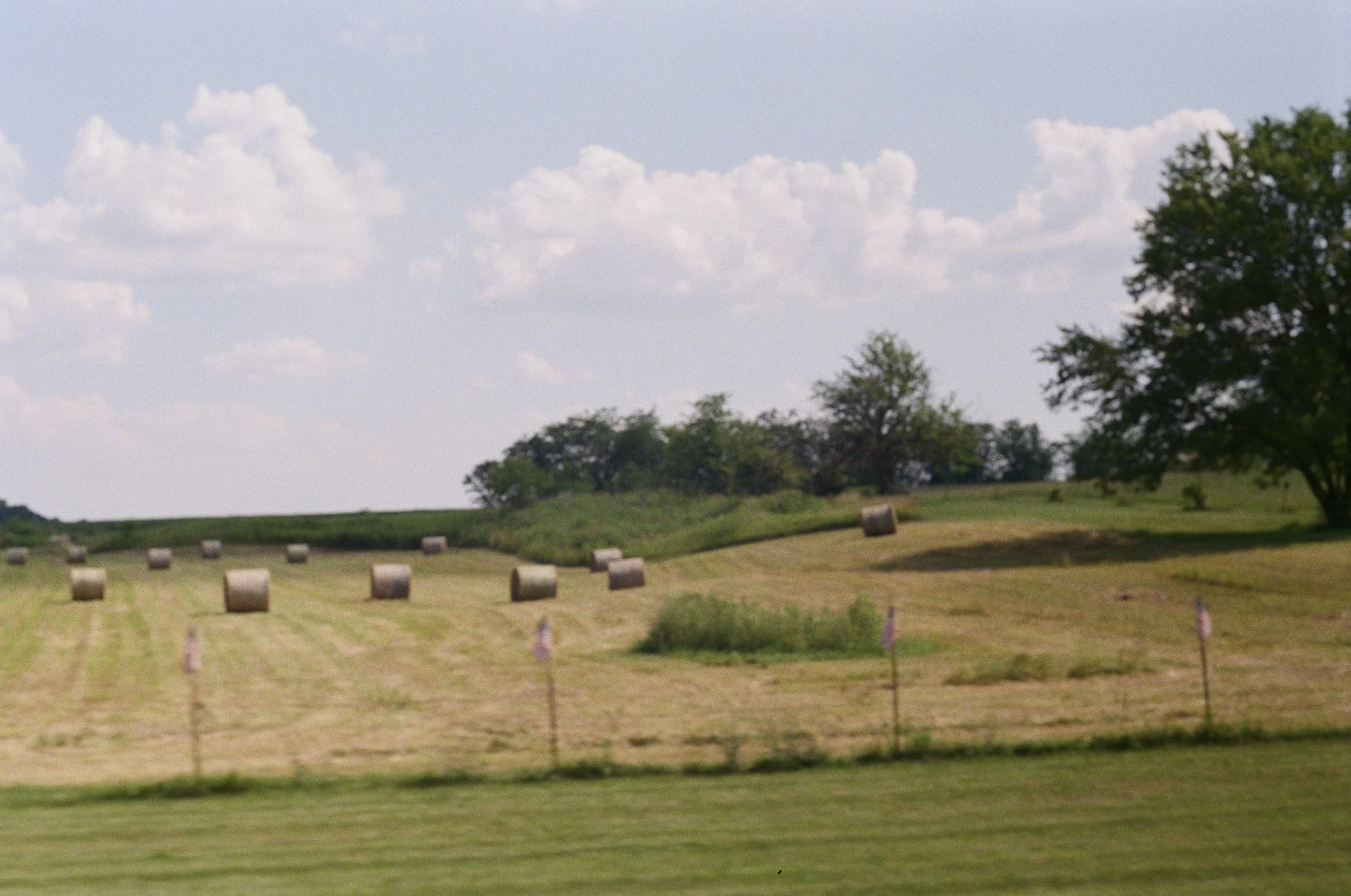 Fuji 400 film stock - Drive in the country. 2025
