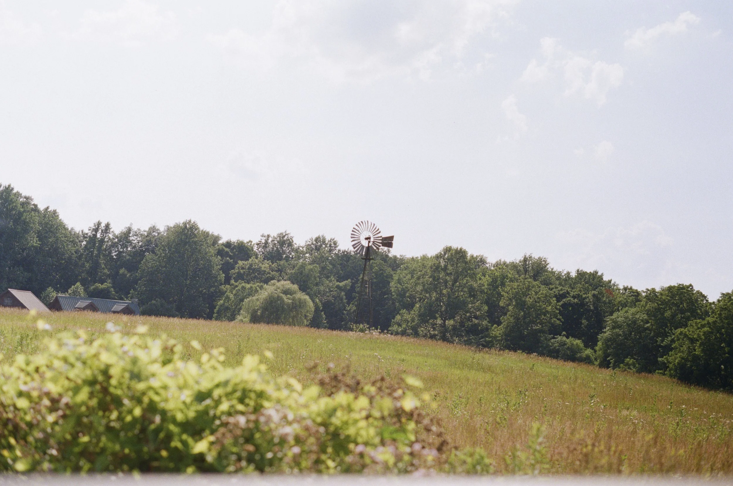 Fuji 400 film stock - Lone Windmill - 2025 Drive through the country. 